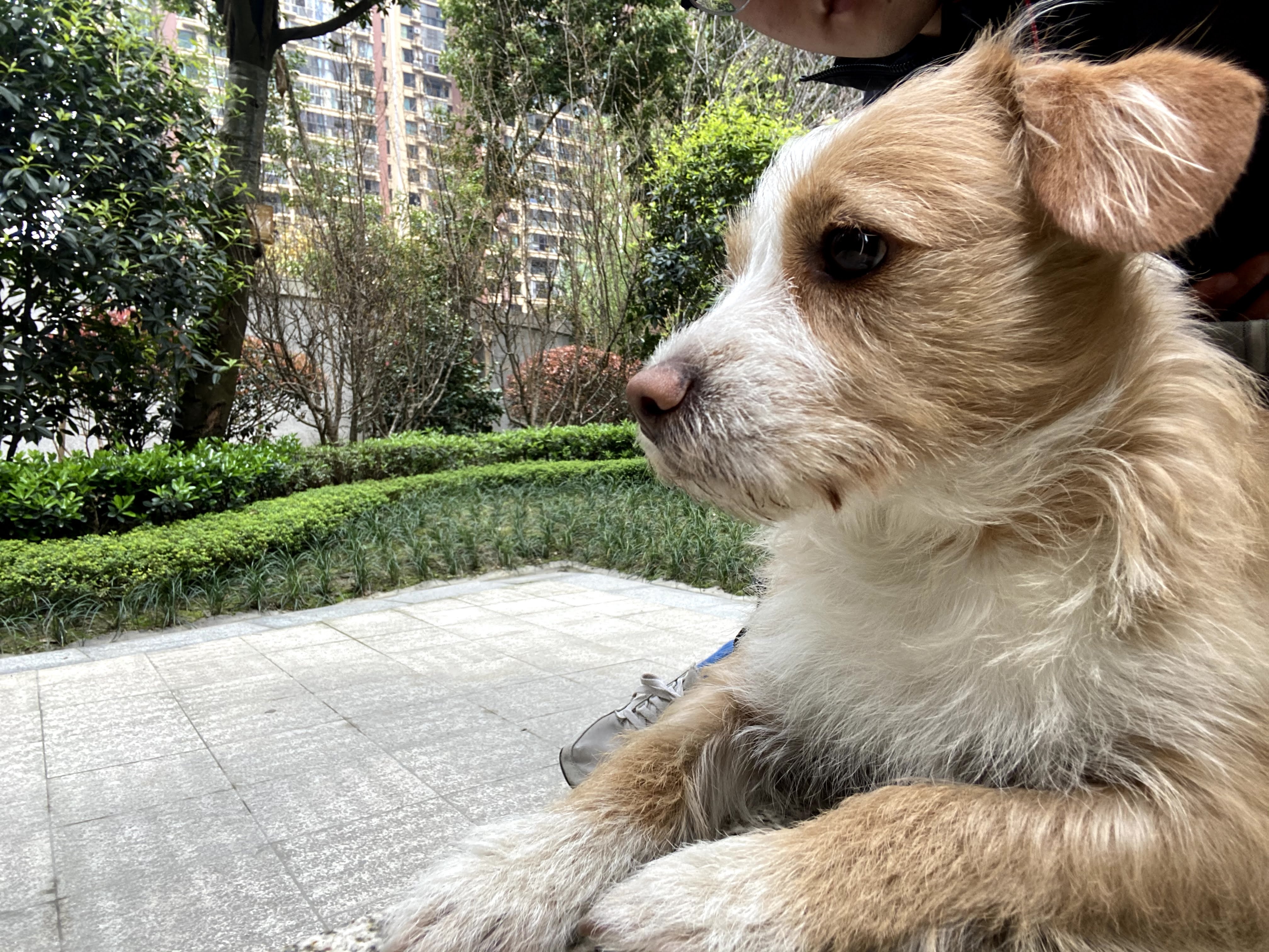 多多 (10).jpg