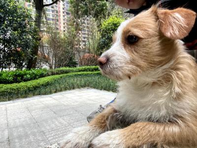 多多 (10).jpg