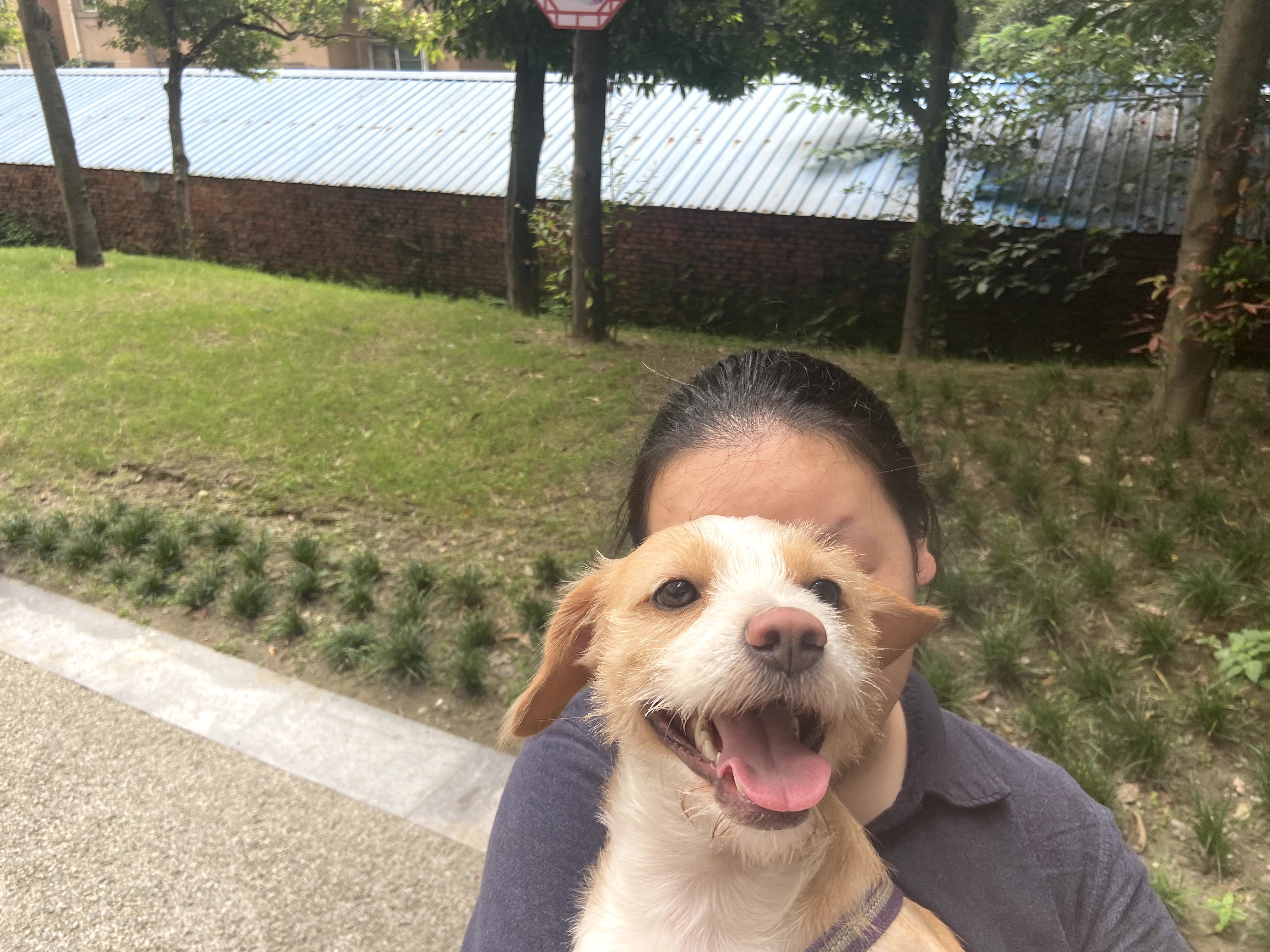 多多 (110).jpg