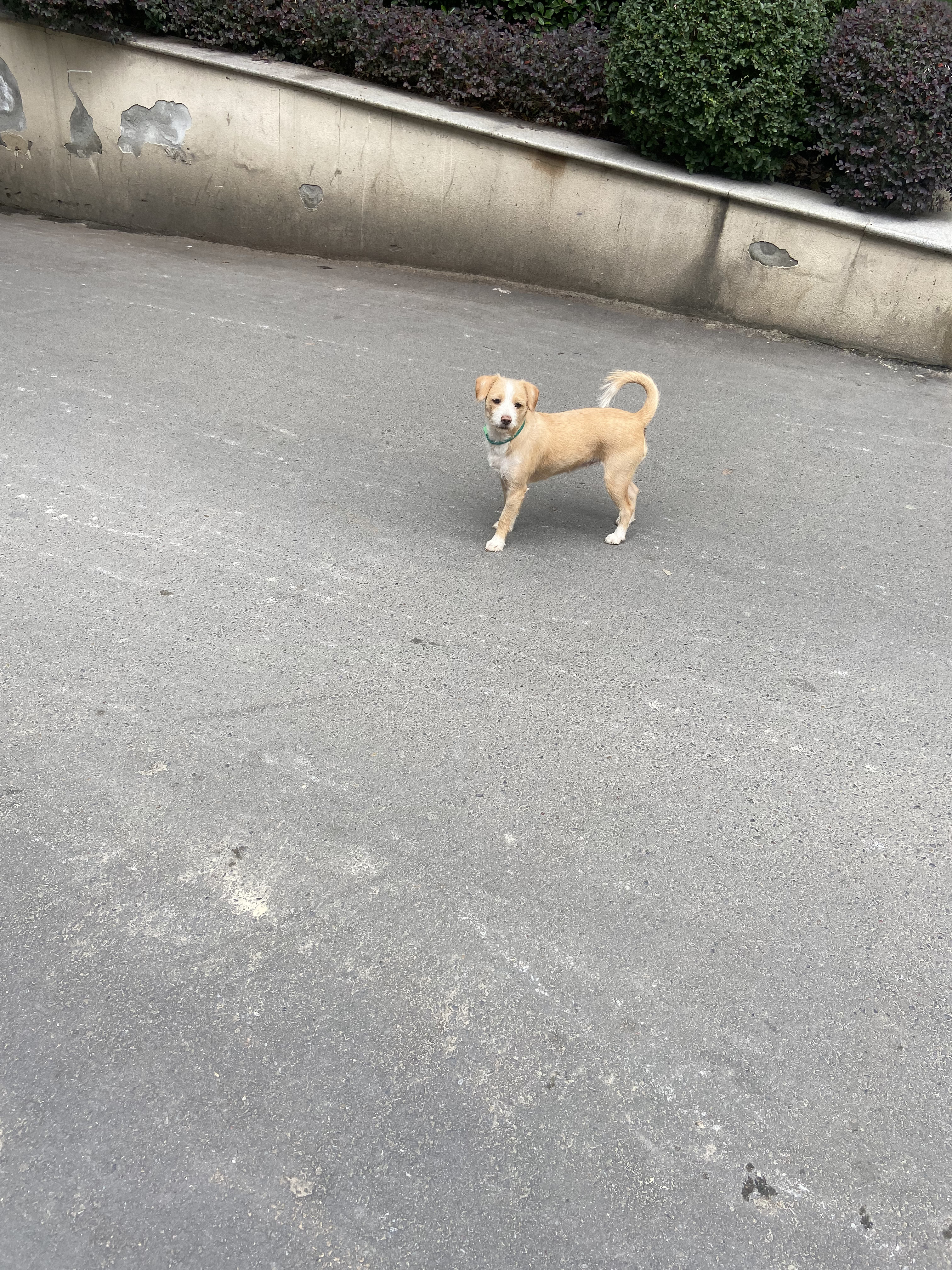 多多 (120).jpg