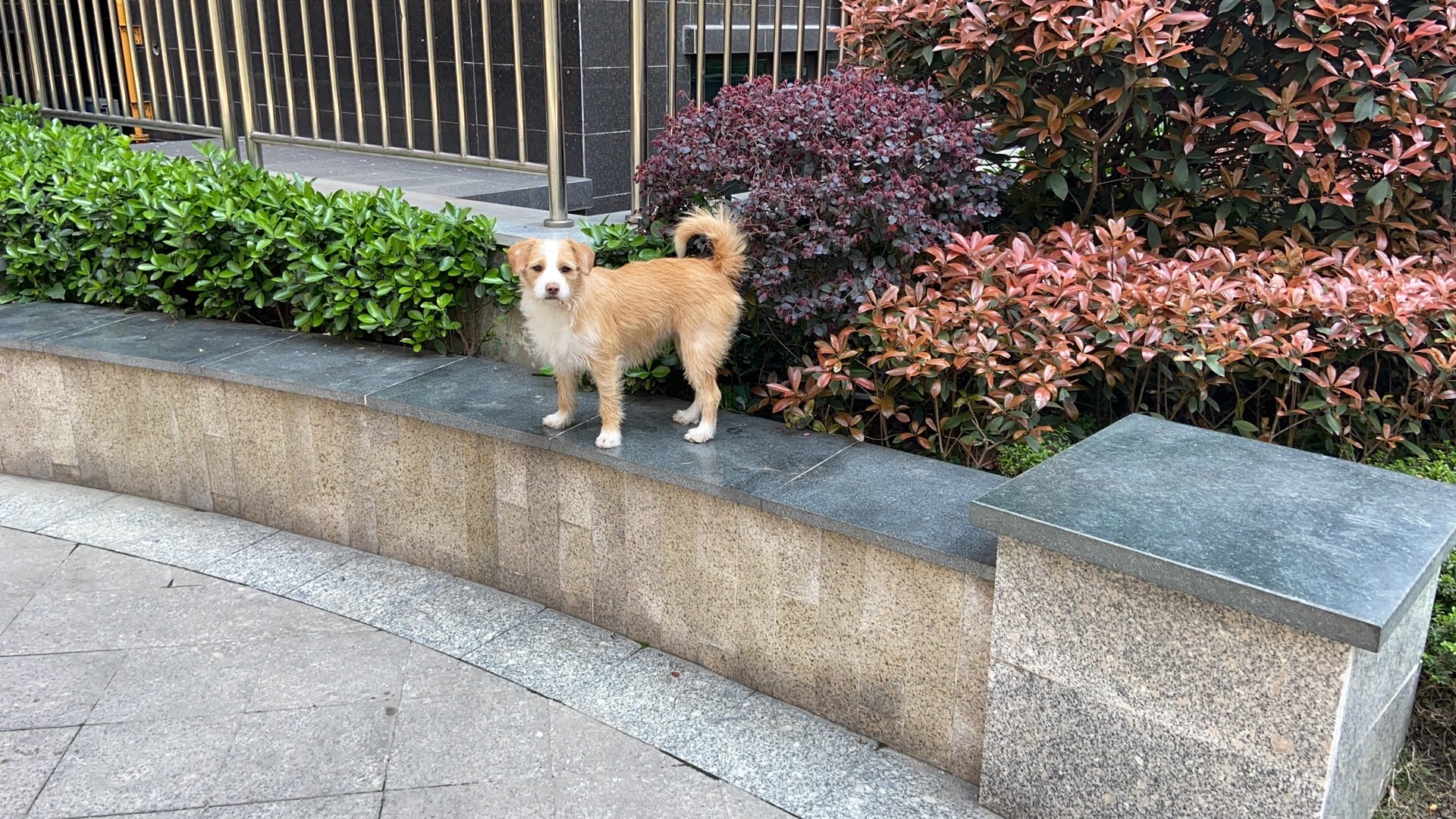 多多 (133).JPG