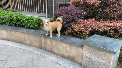 多多 (133).JPG