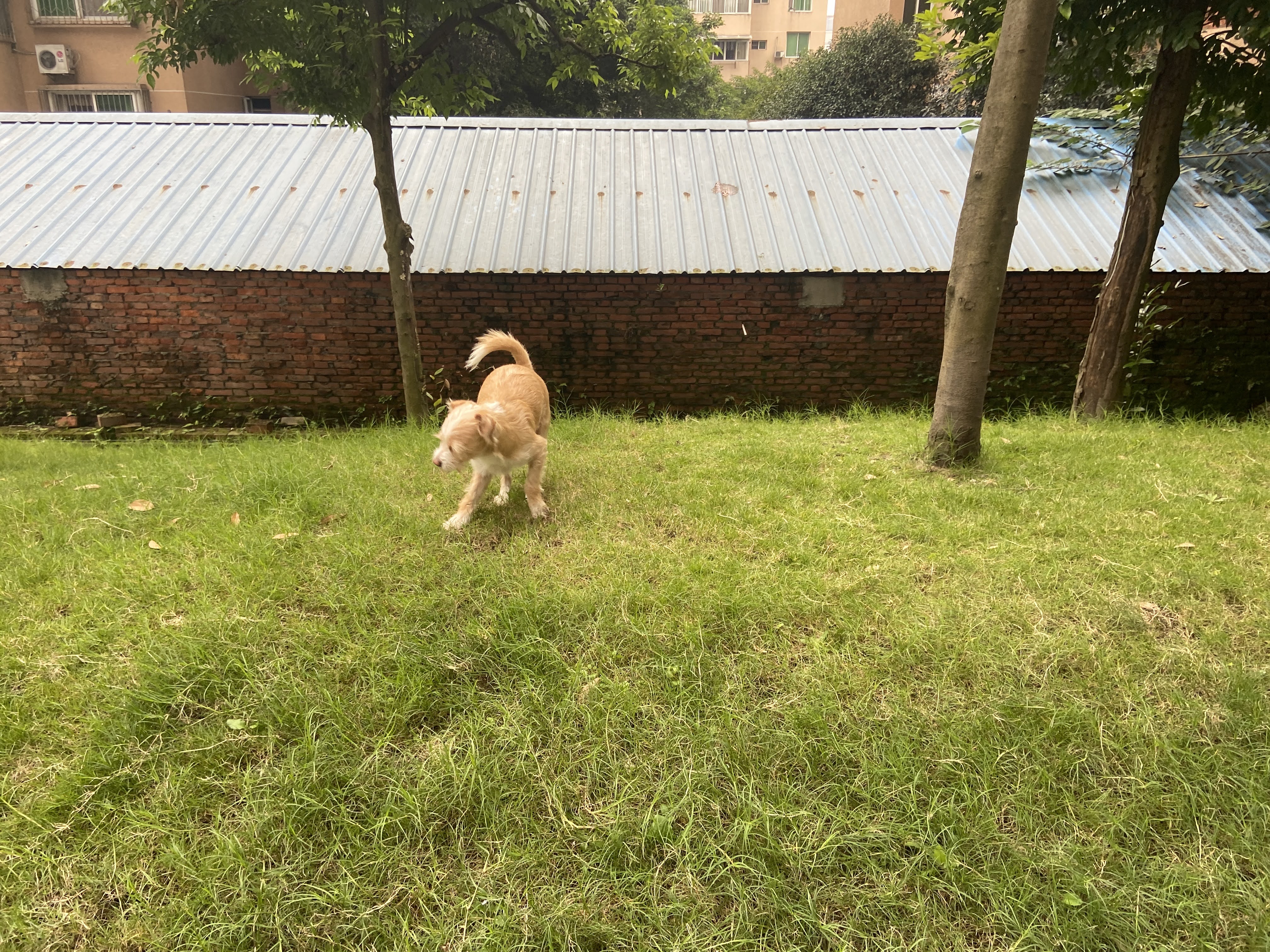 多多 (137).JPG