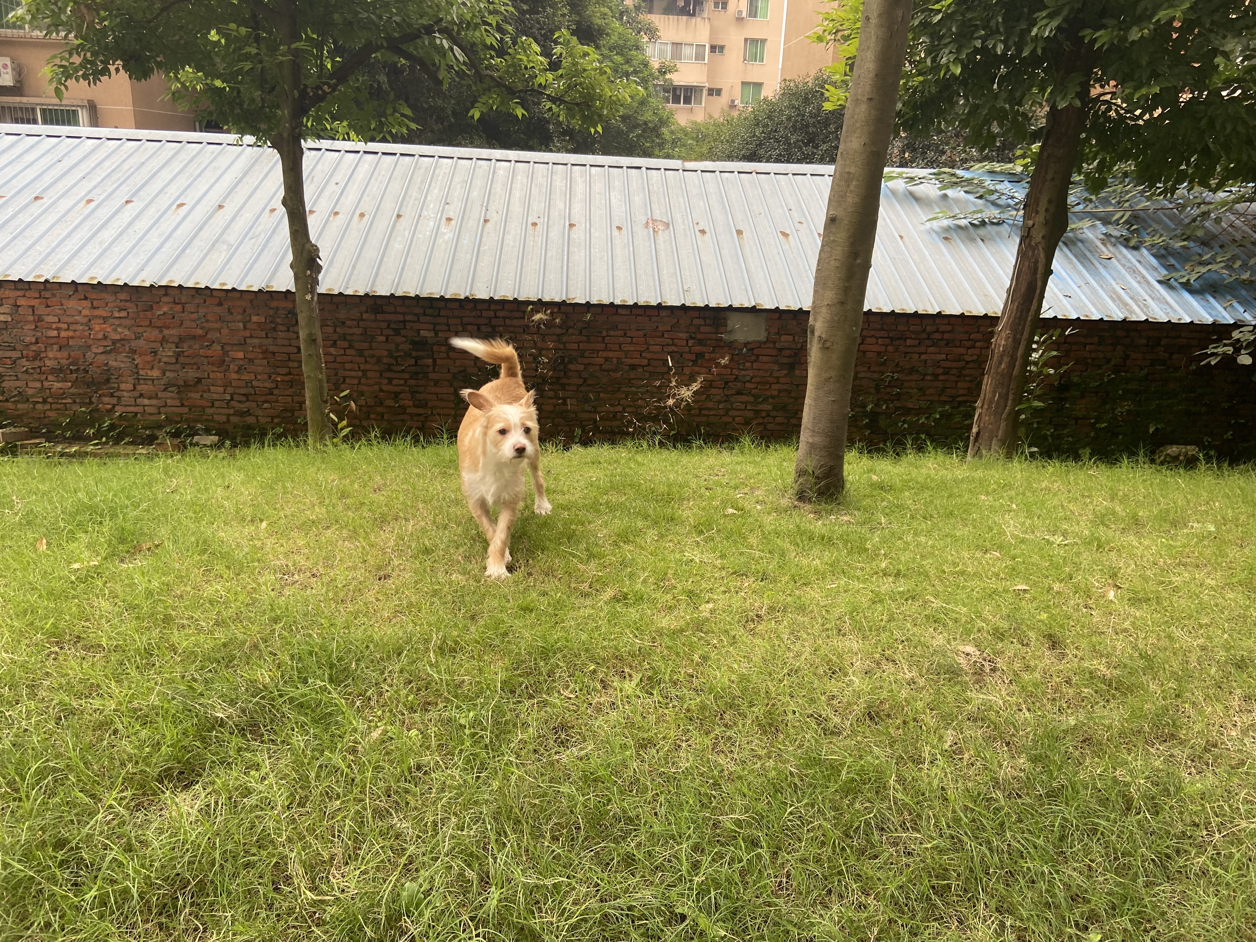 多多 (138).JPG
