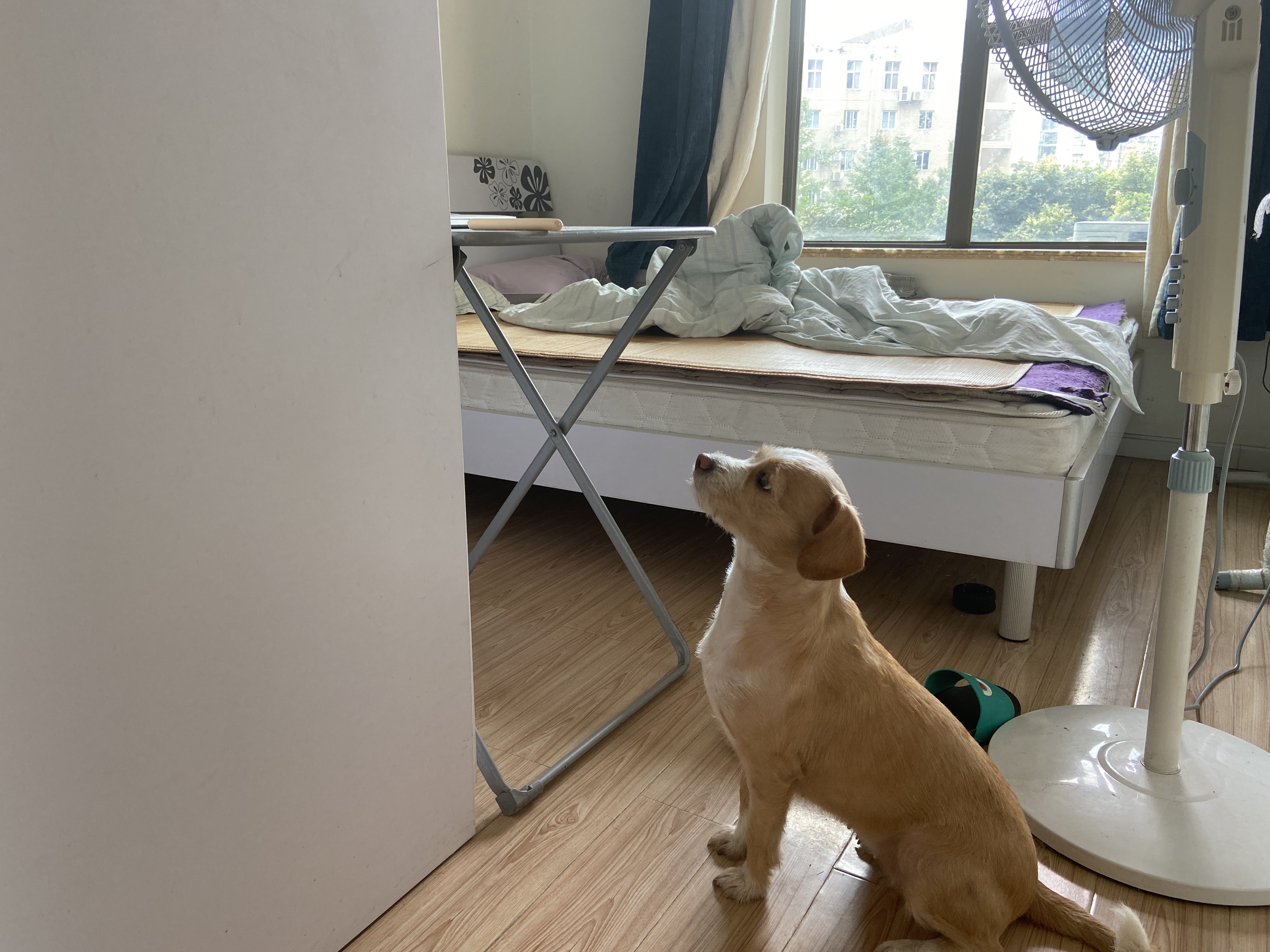 多多 (150).JPG