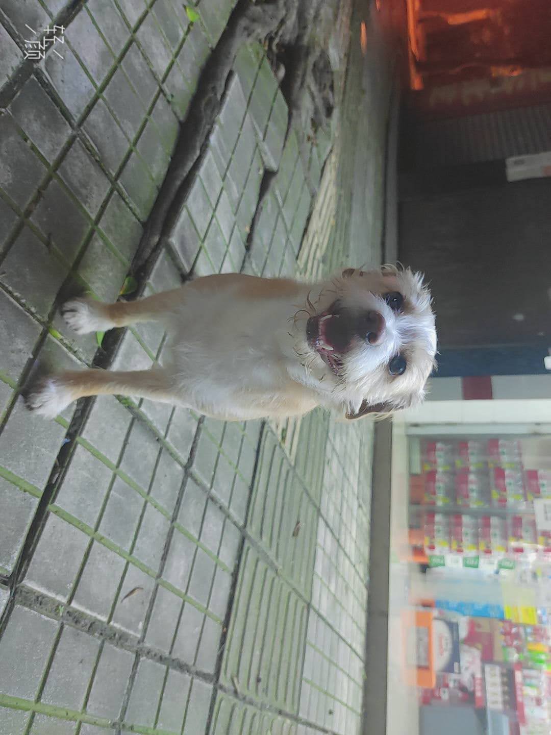 多多 (166).jpg