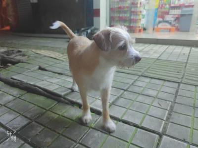 多多 (167).jpg
