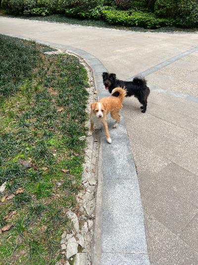 多多 (172).jpg