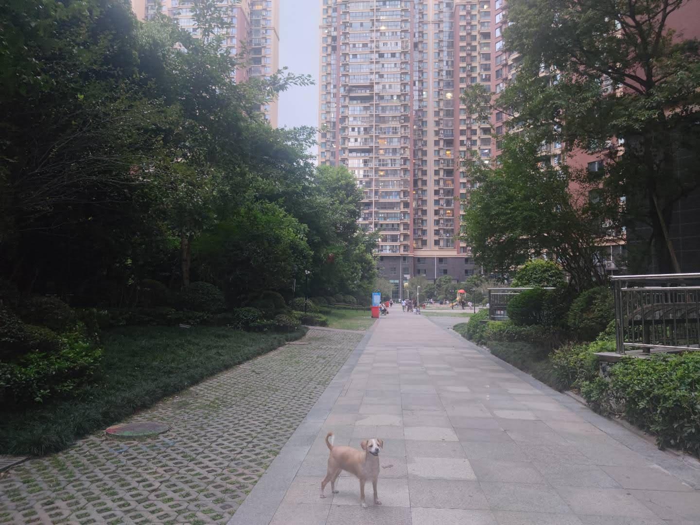 多多 (190).jpg