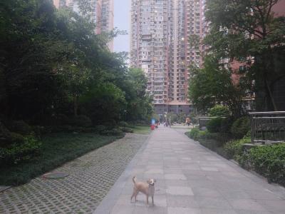 多多 (190).jpg