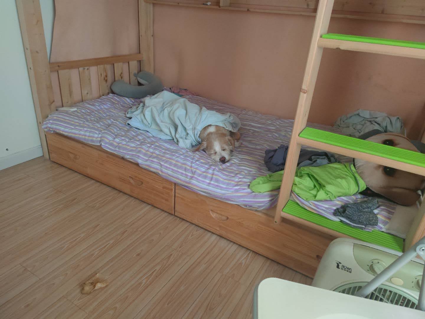 多多 (193).jpg