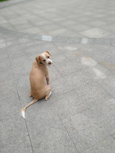 多多 (240).jpg