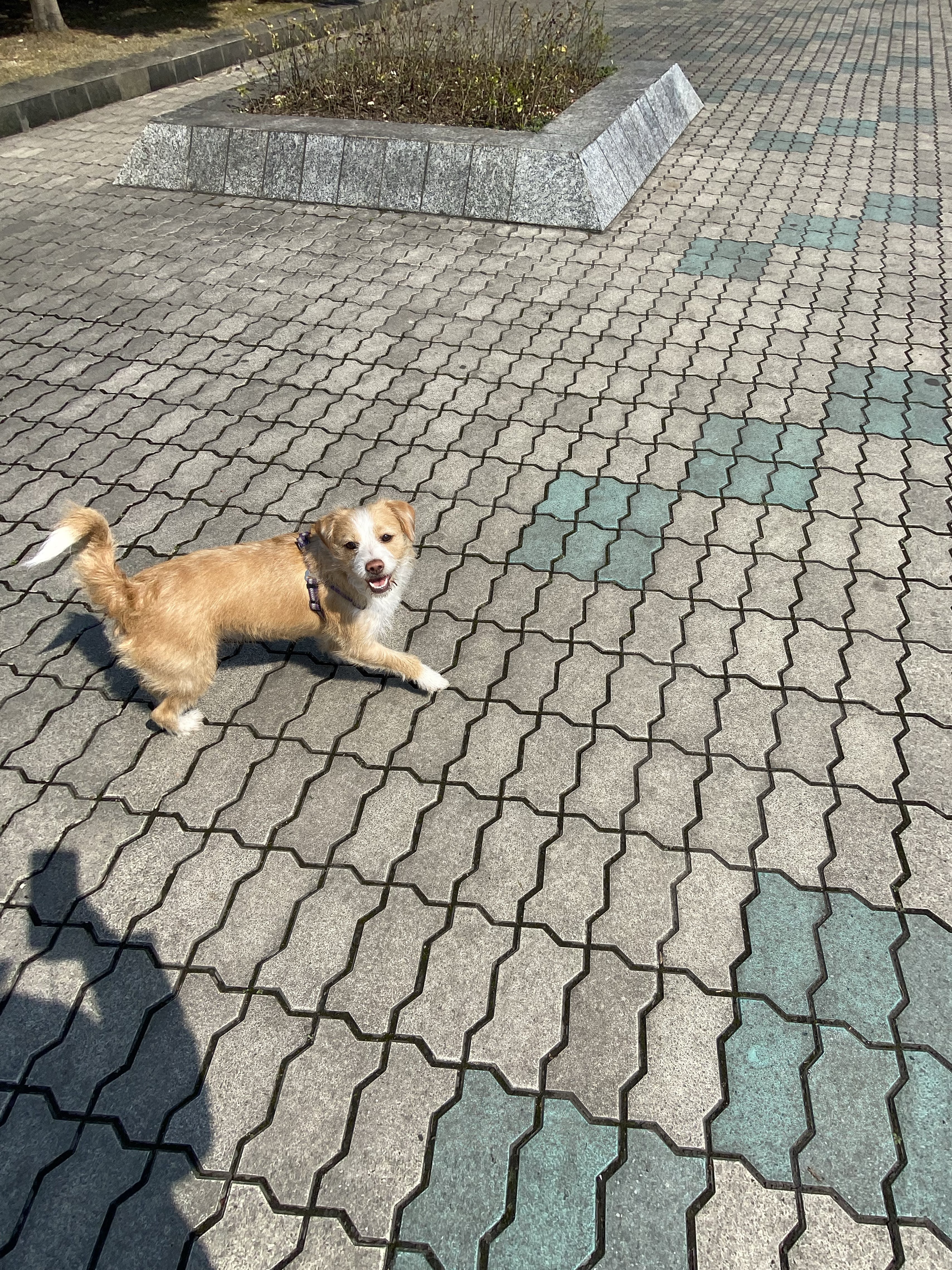 多多 (25).jpg
