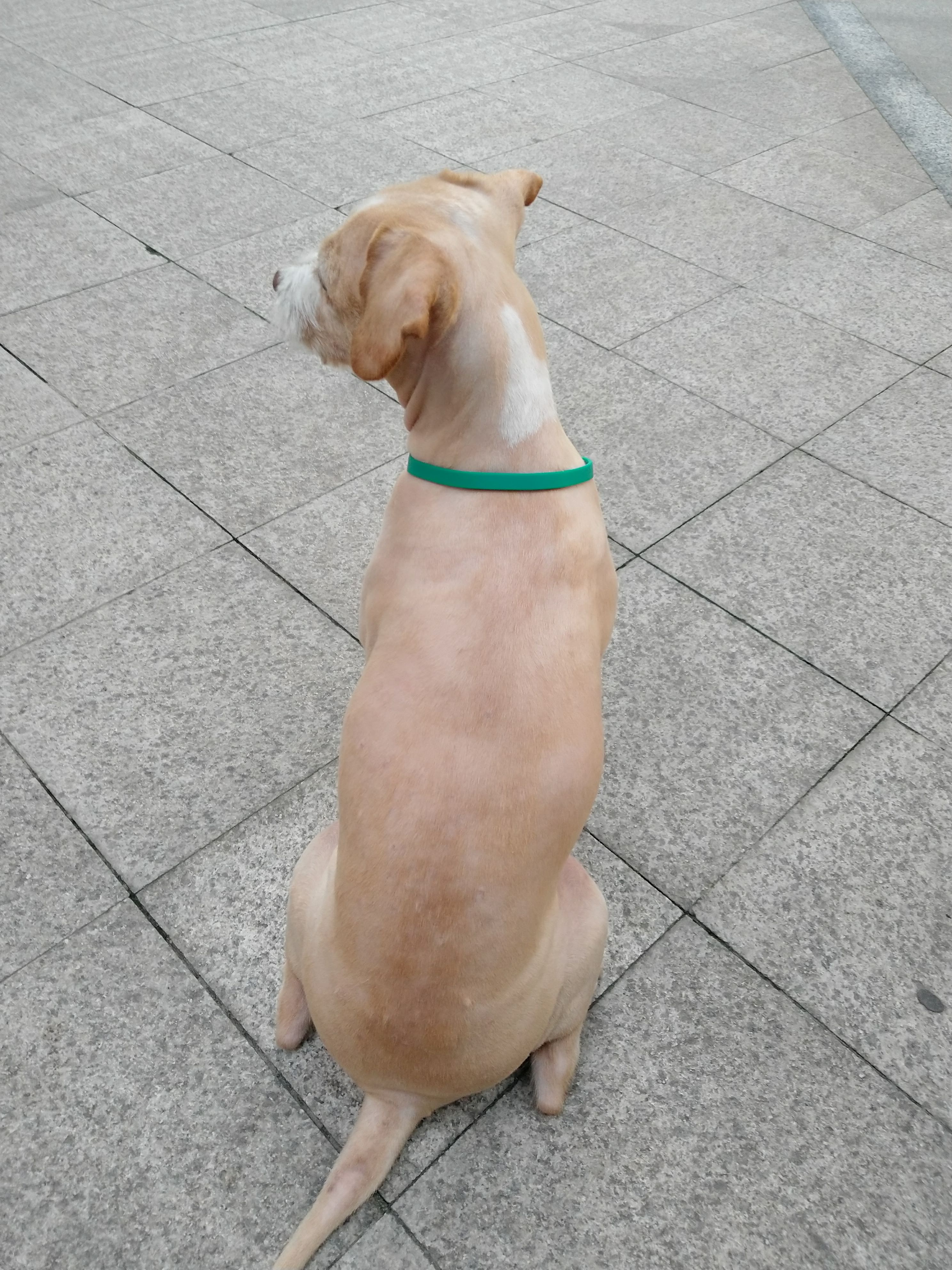 多多 (260).jpg