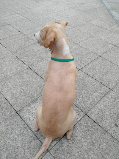 多多 (260).jpg