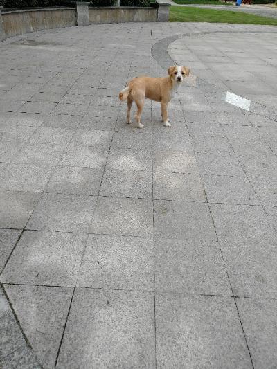 多多 (265).jpg