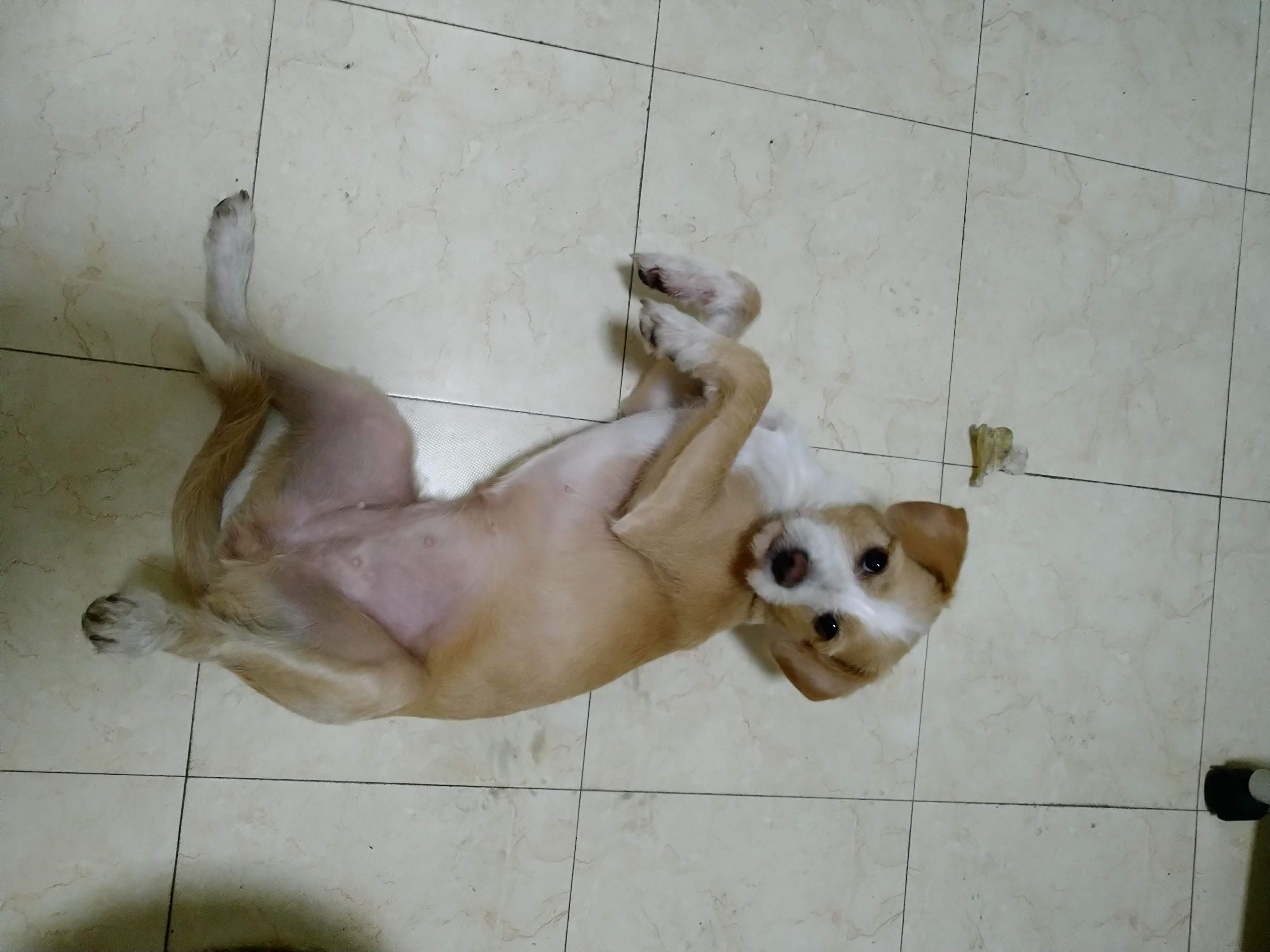 多多 (275).jpg