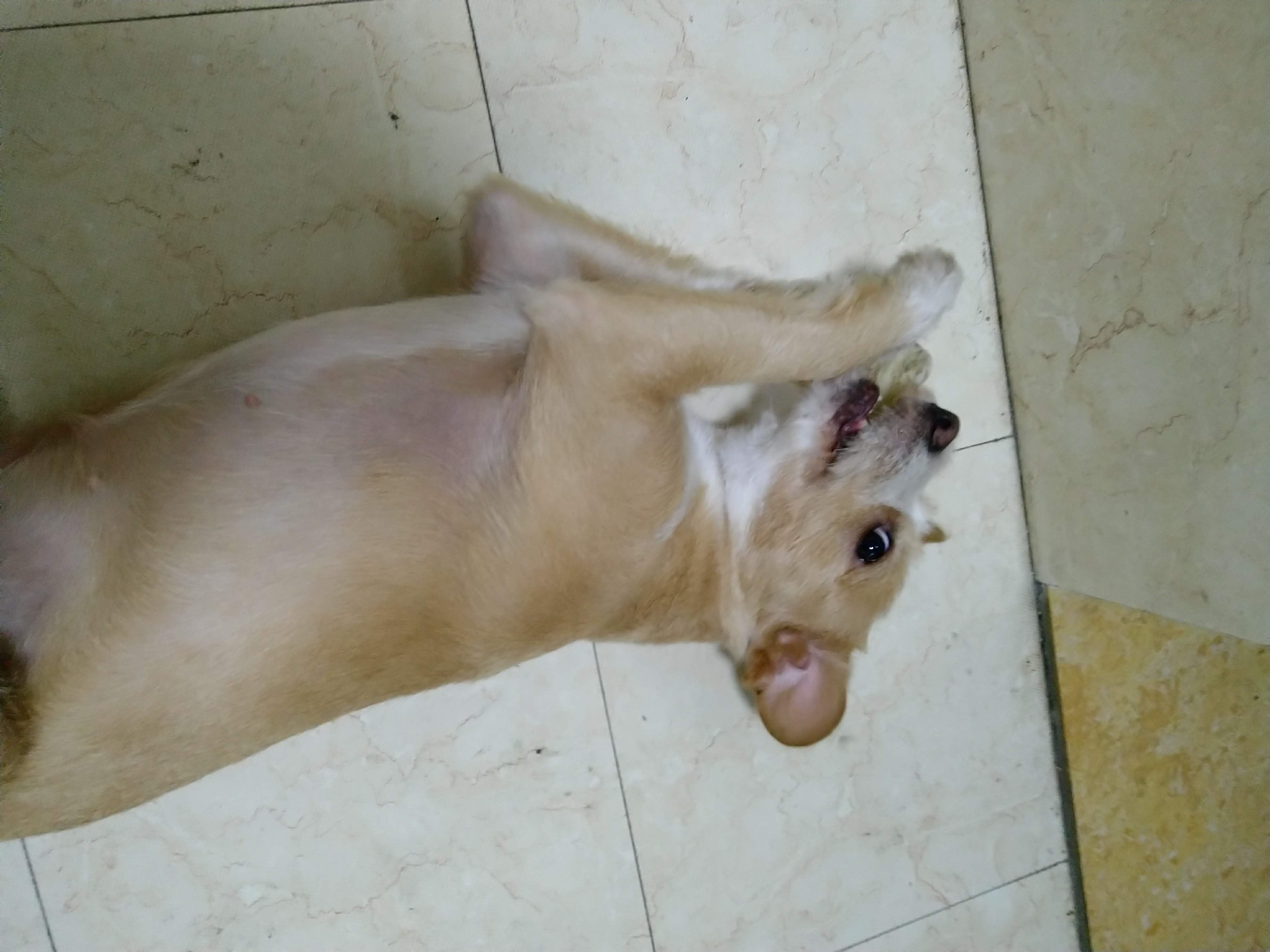 多多 (277).jpg