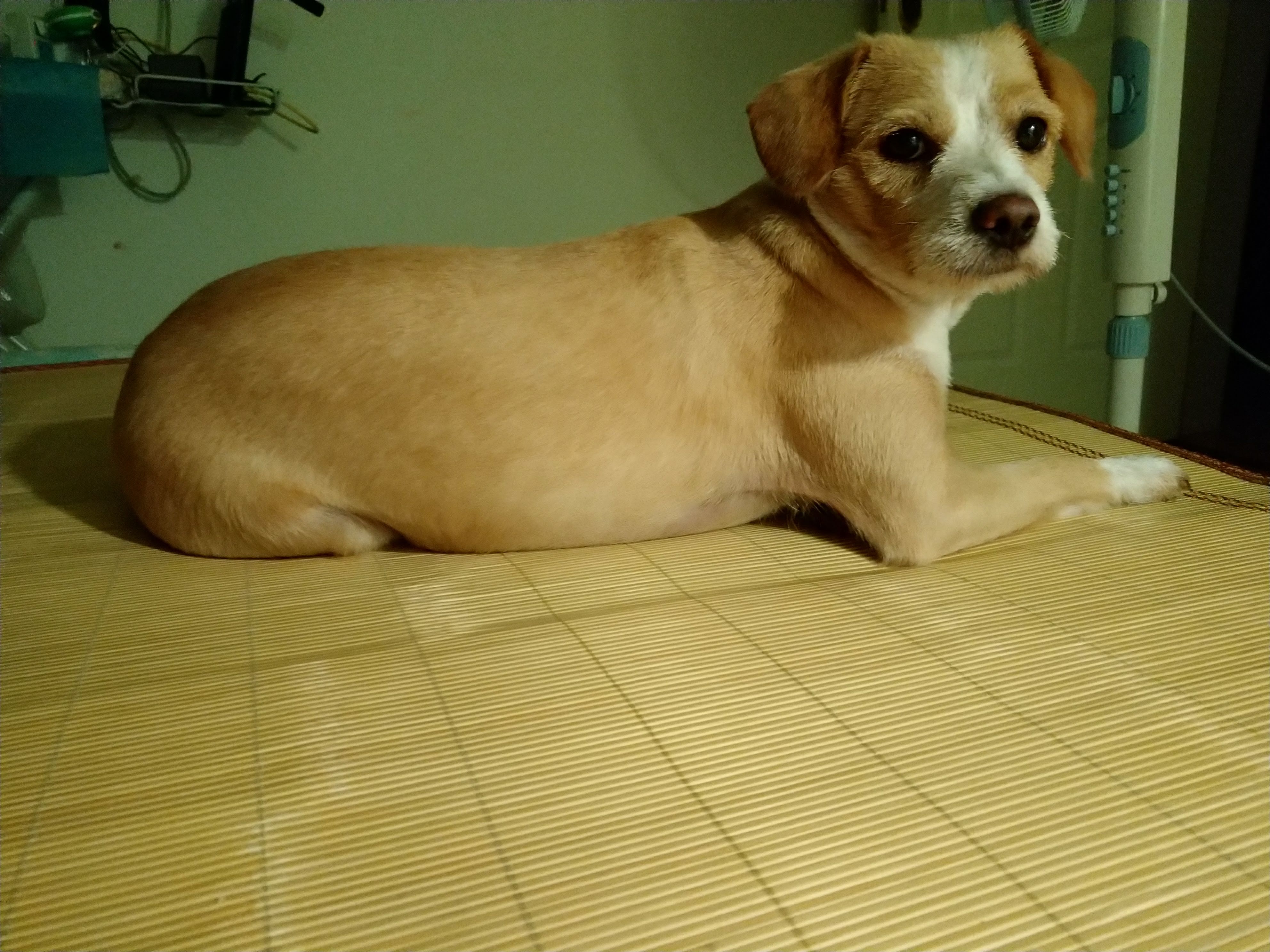 多多 (283).jpg