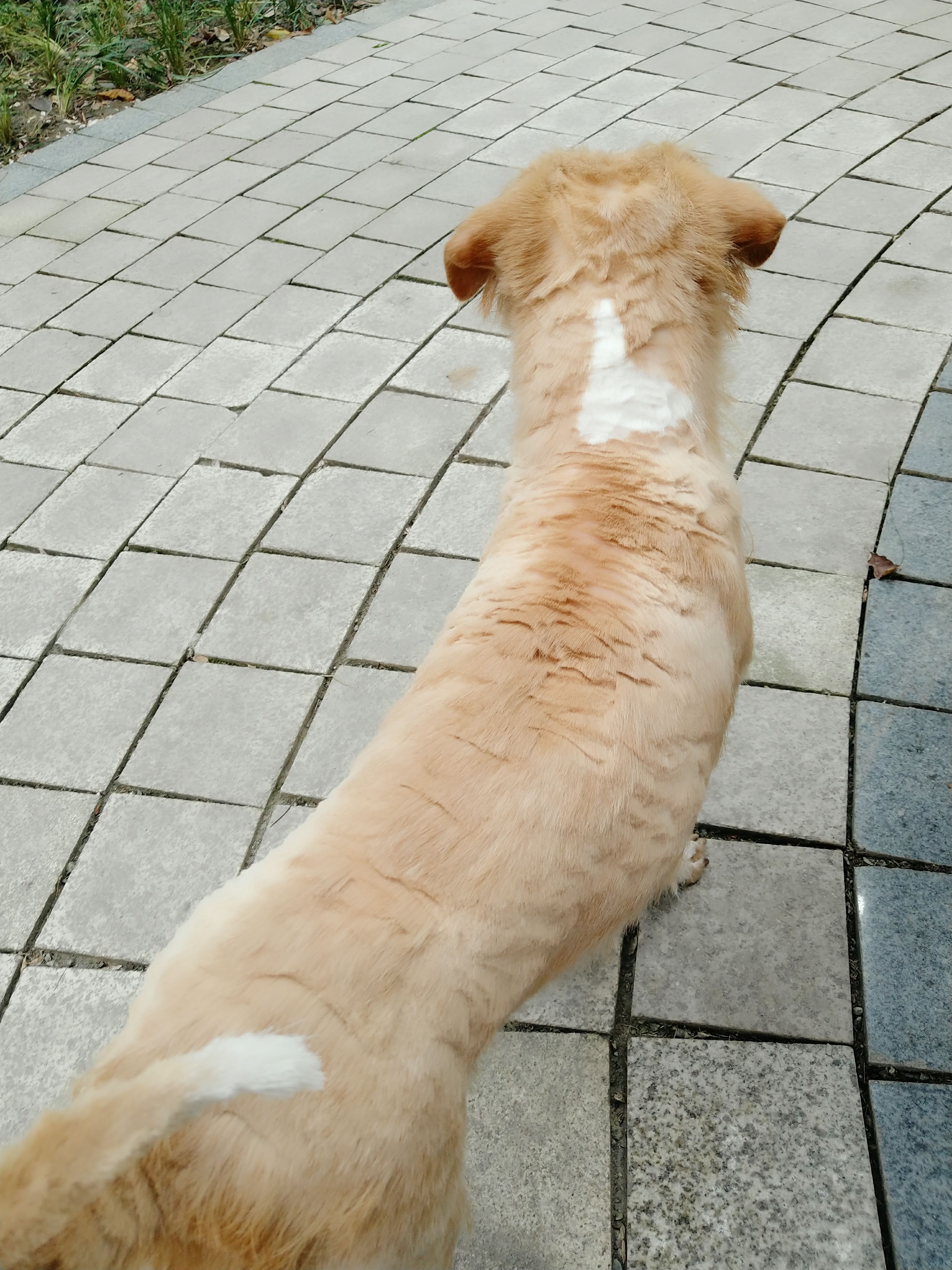 多多 (298).jpg