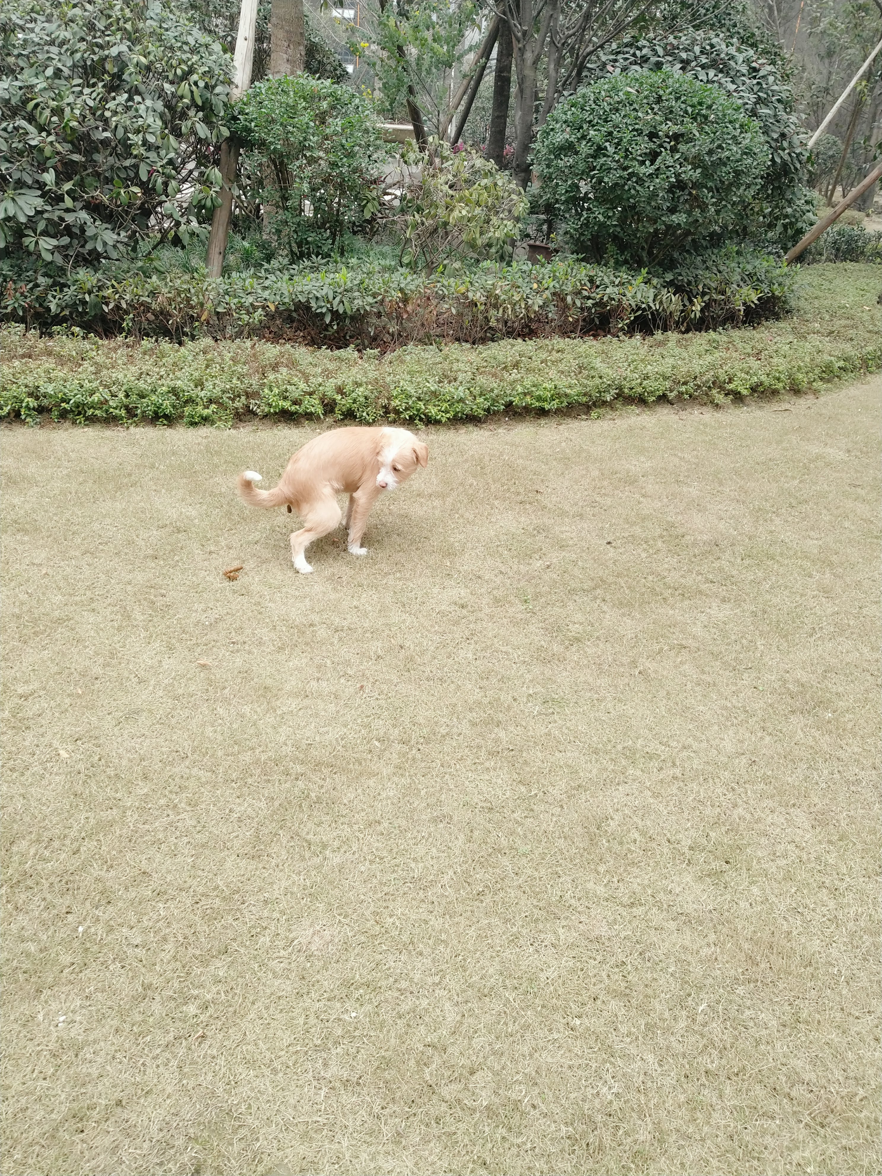 多多 (329).jpg