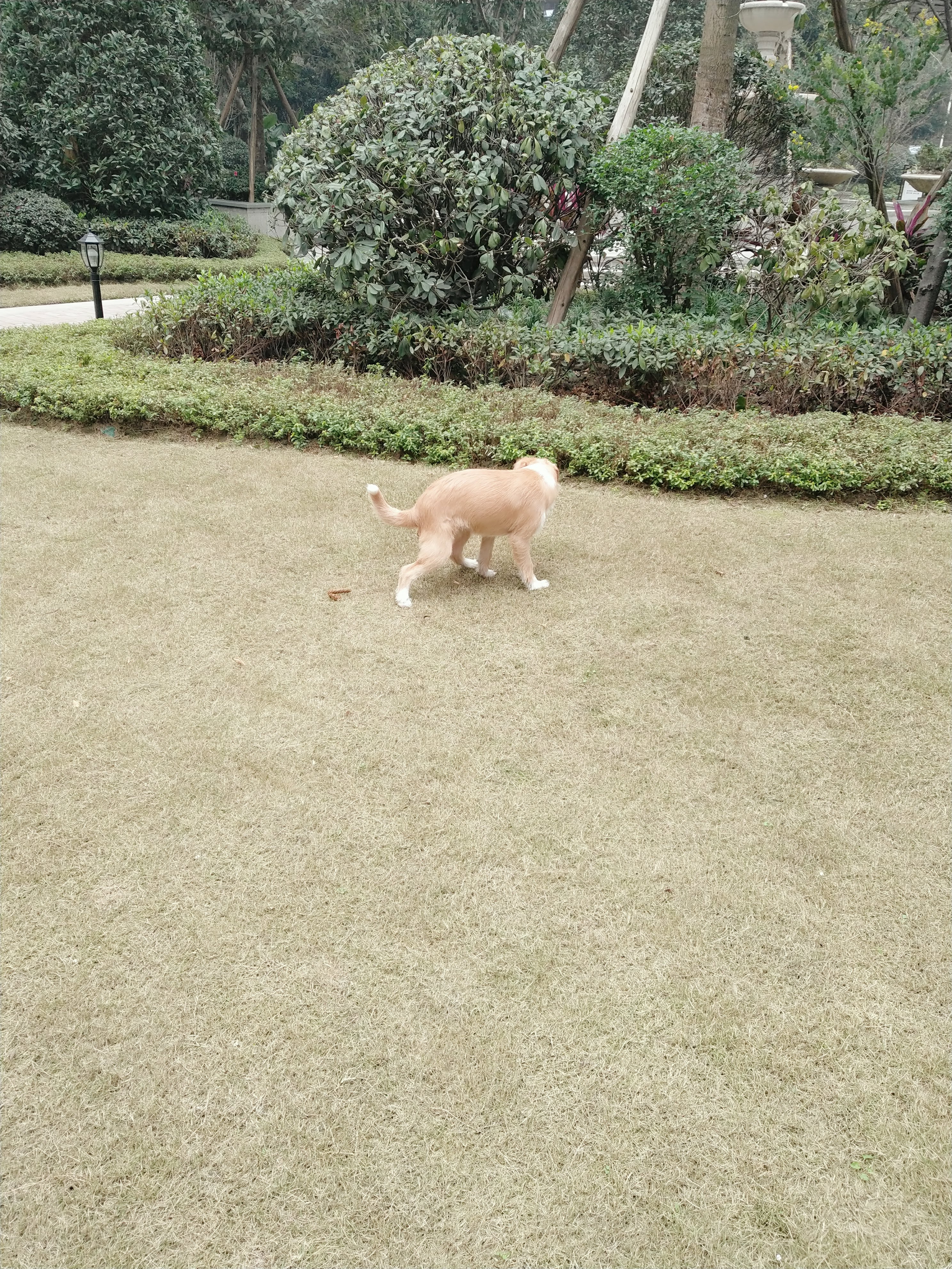 多多 (330).jpg