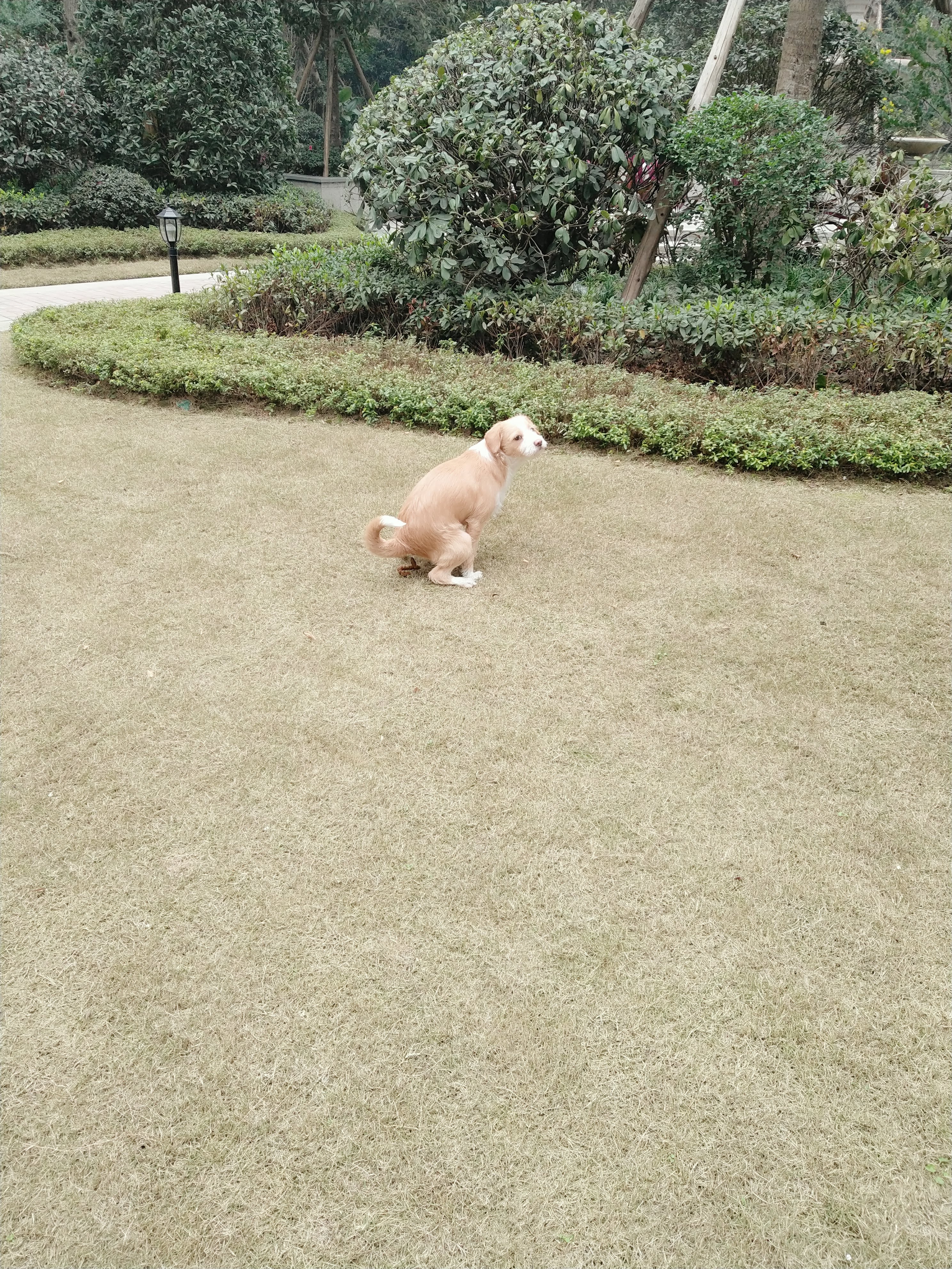 多多 (331).jpg