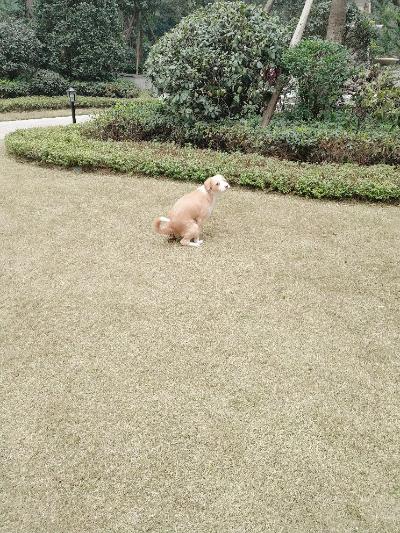 多多 (331).jpg
