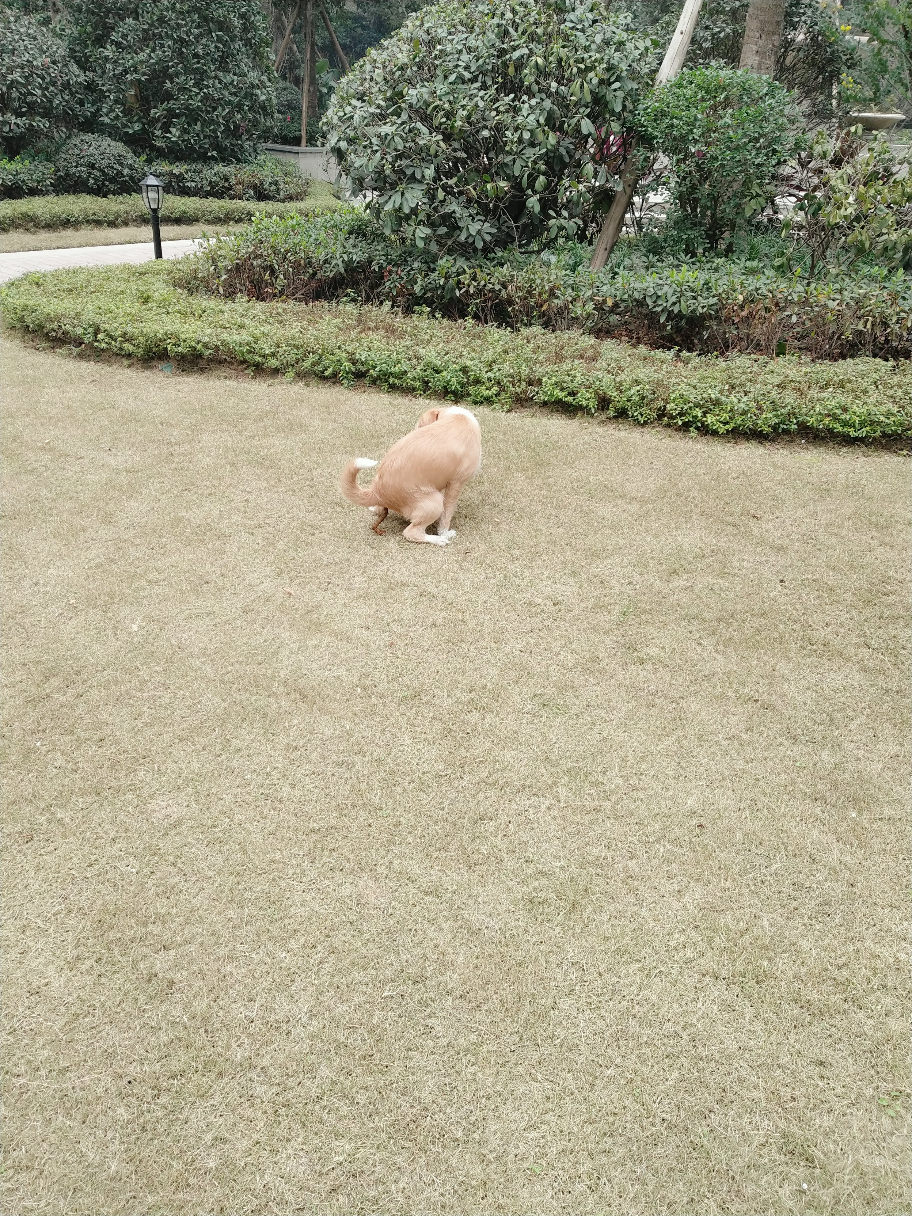 多多 (332).jpg