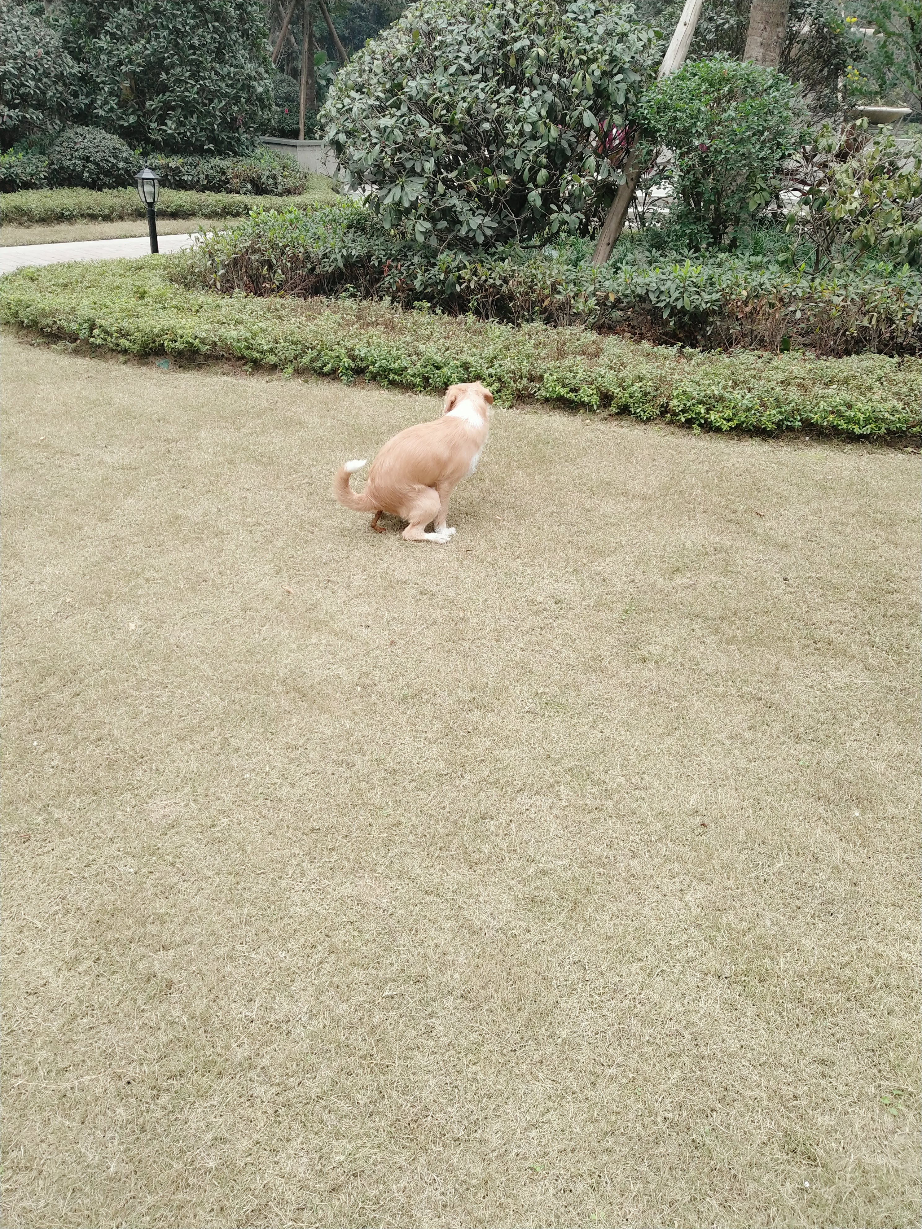 多多 (333).jpg