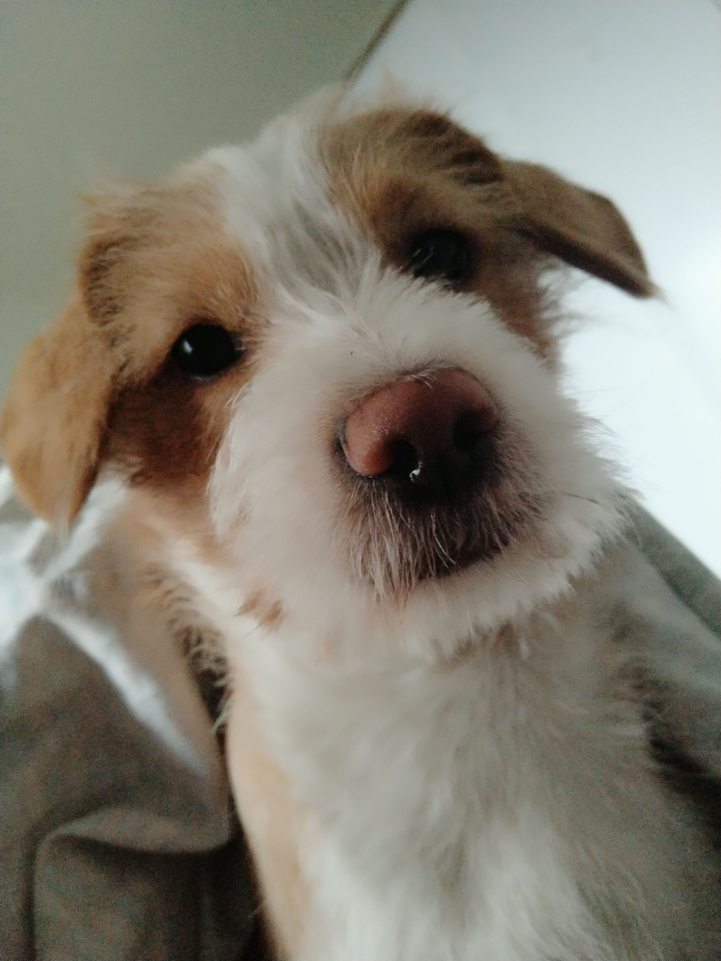 多多 (343).jpg