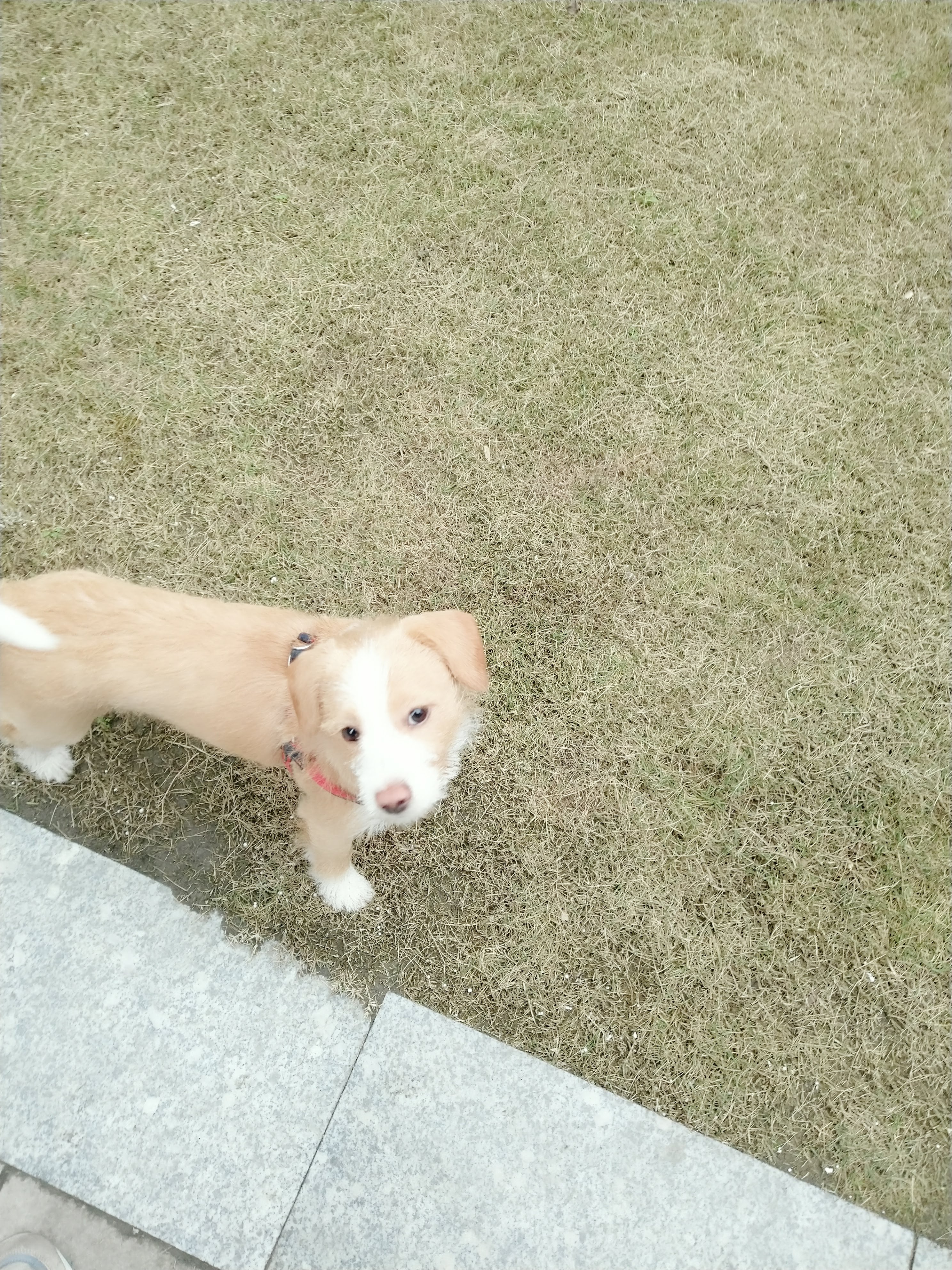 多多 (348).jpg