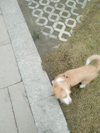多多 (349).jpg