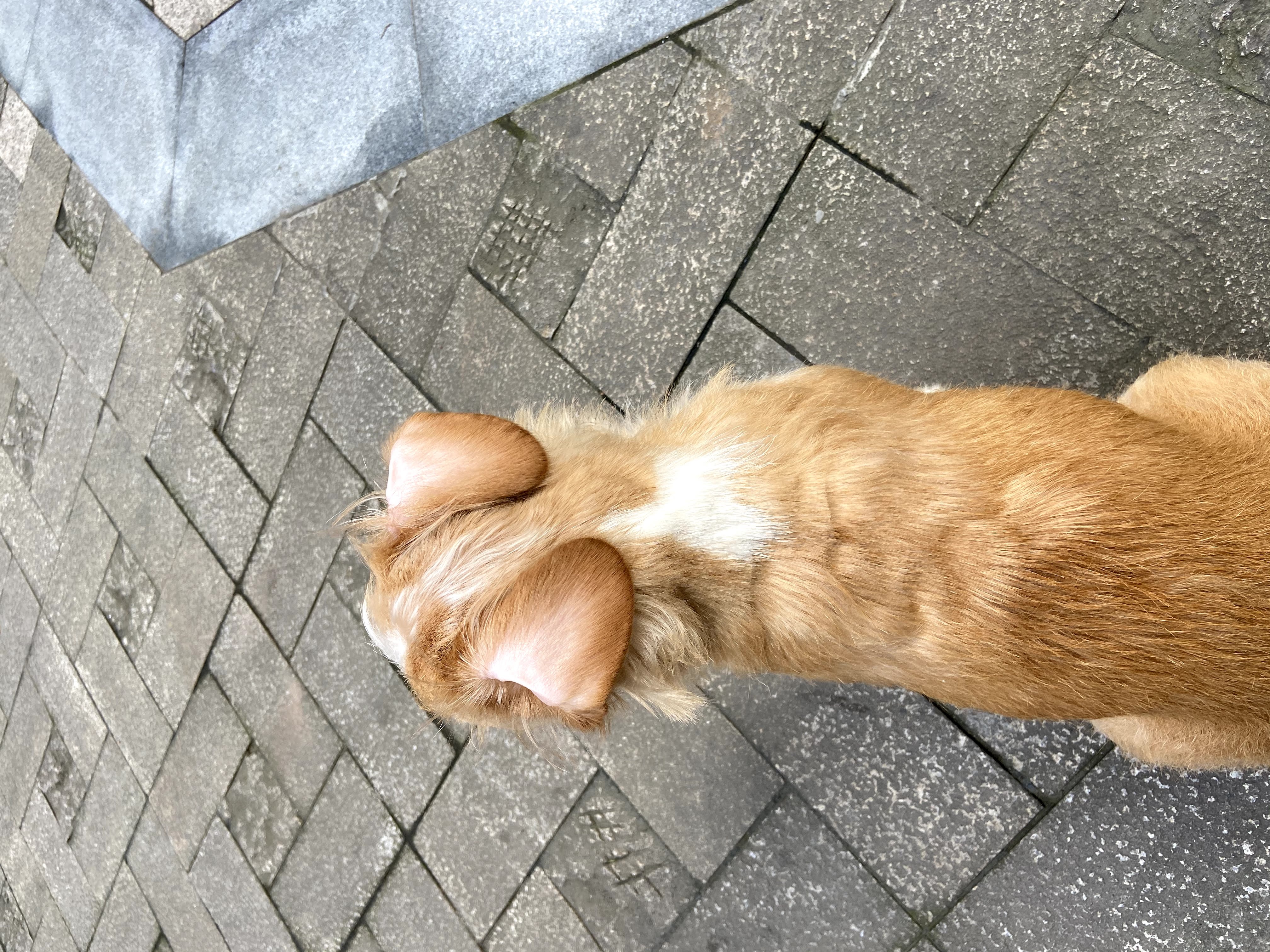 多多 (35).jpg