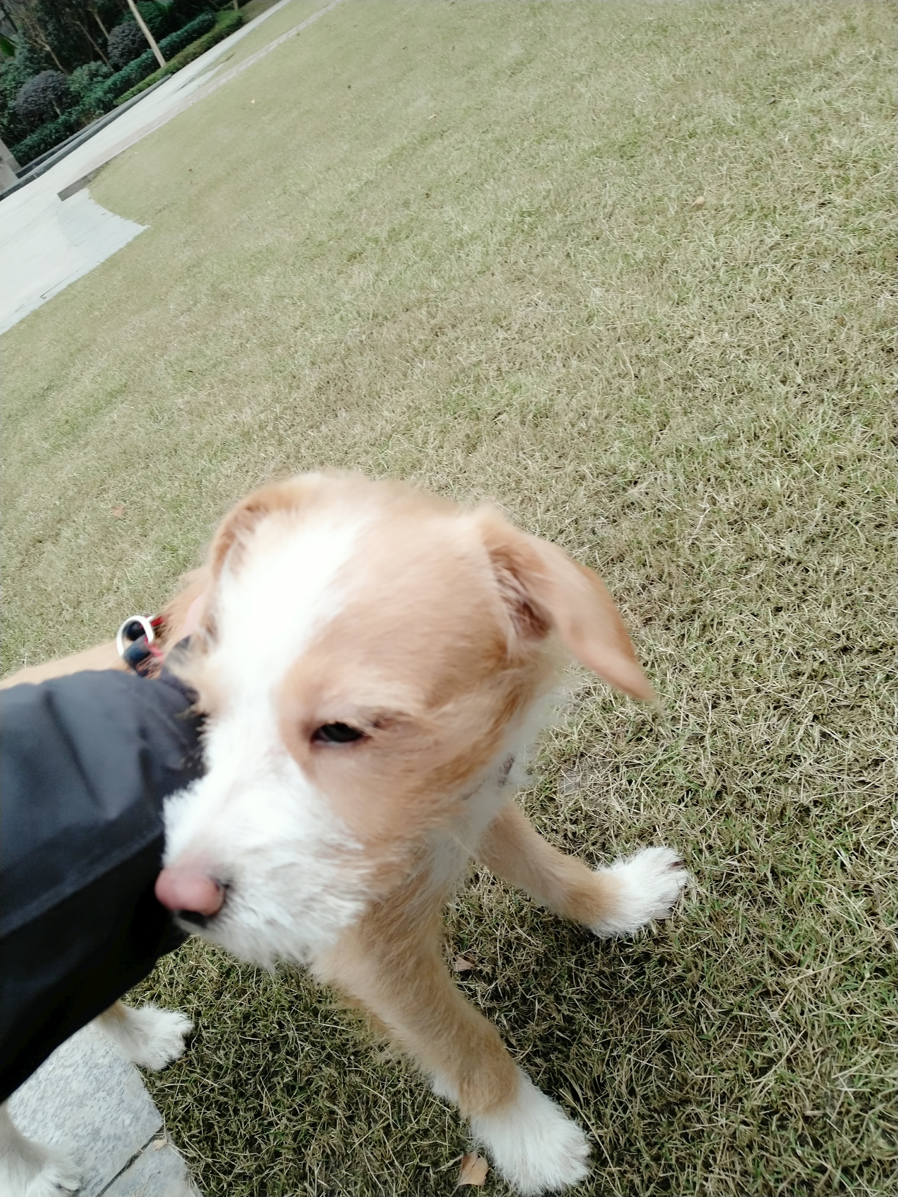 多多 (351).jpg