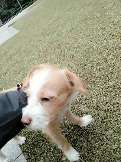 多多 (351).jpg