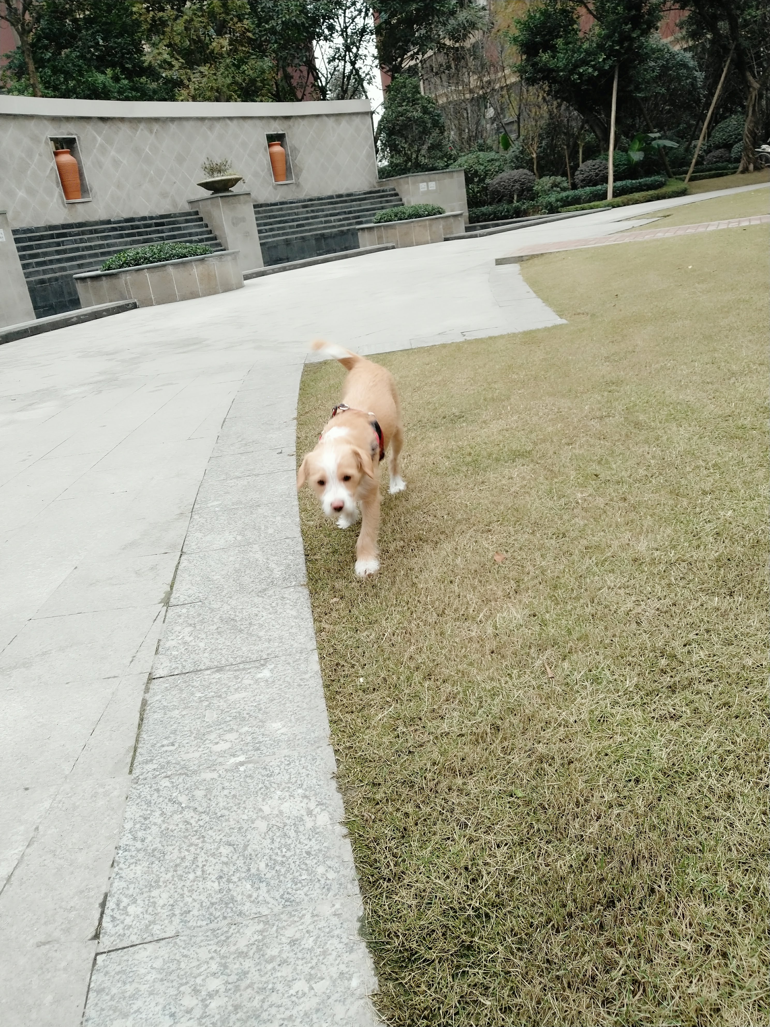 多多 (353).jpg
