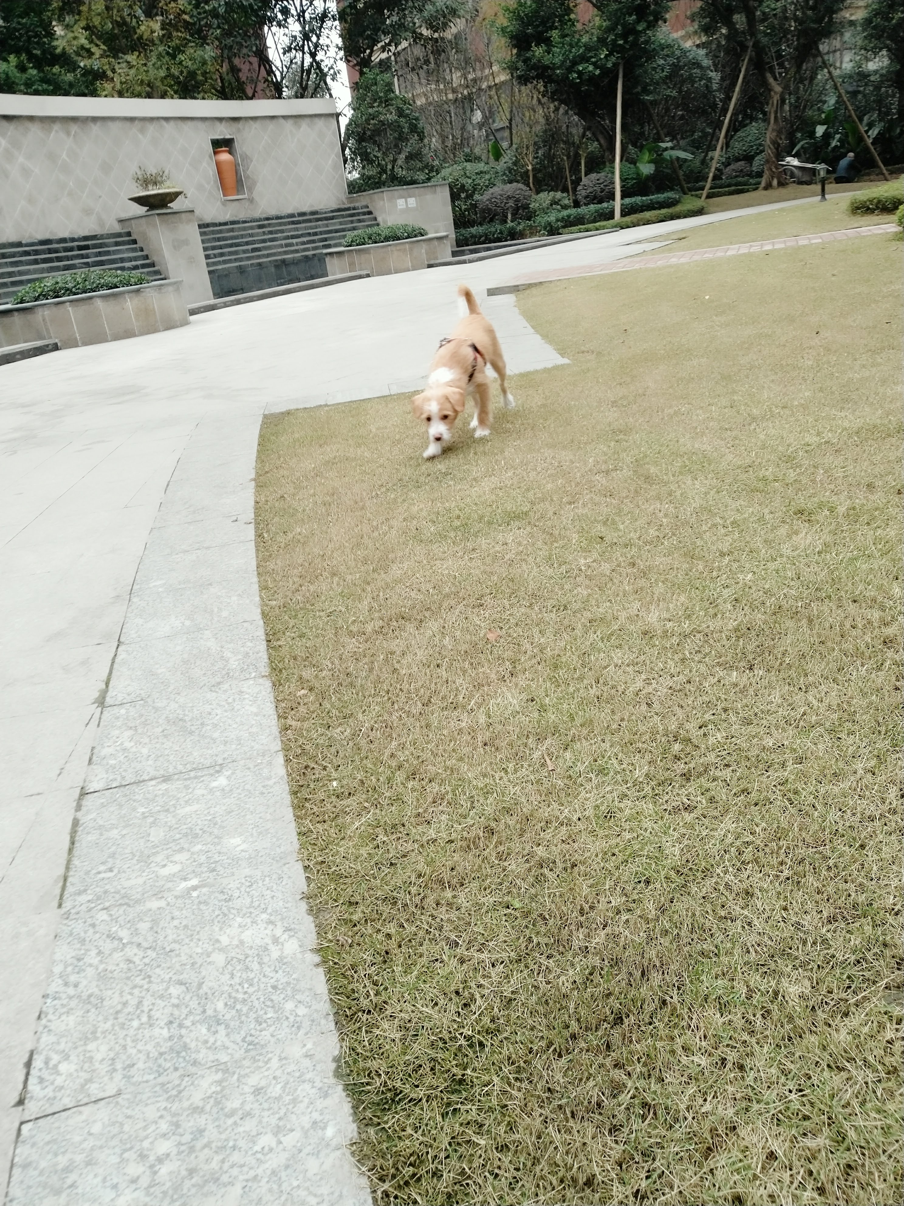 多多 (354).jpg