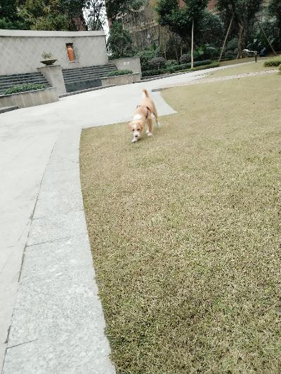 多多 (354).jpg