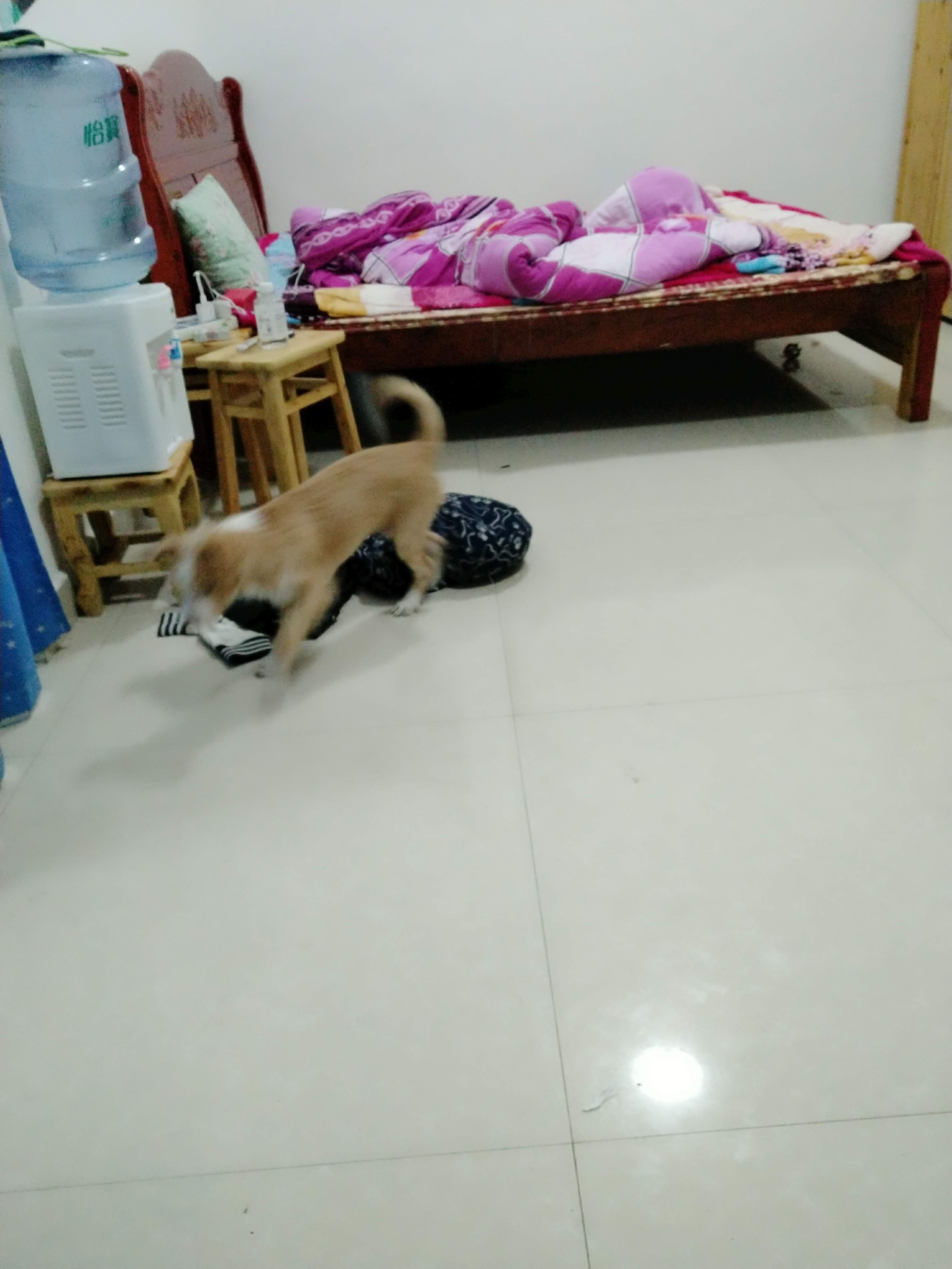 多多 (356).jpg