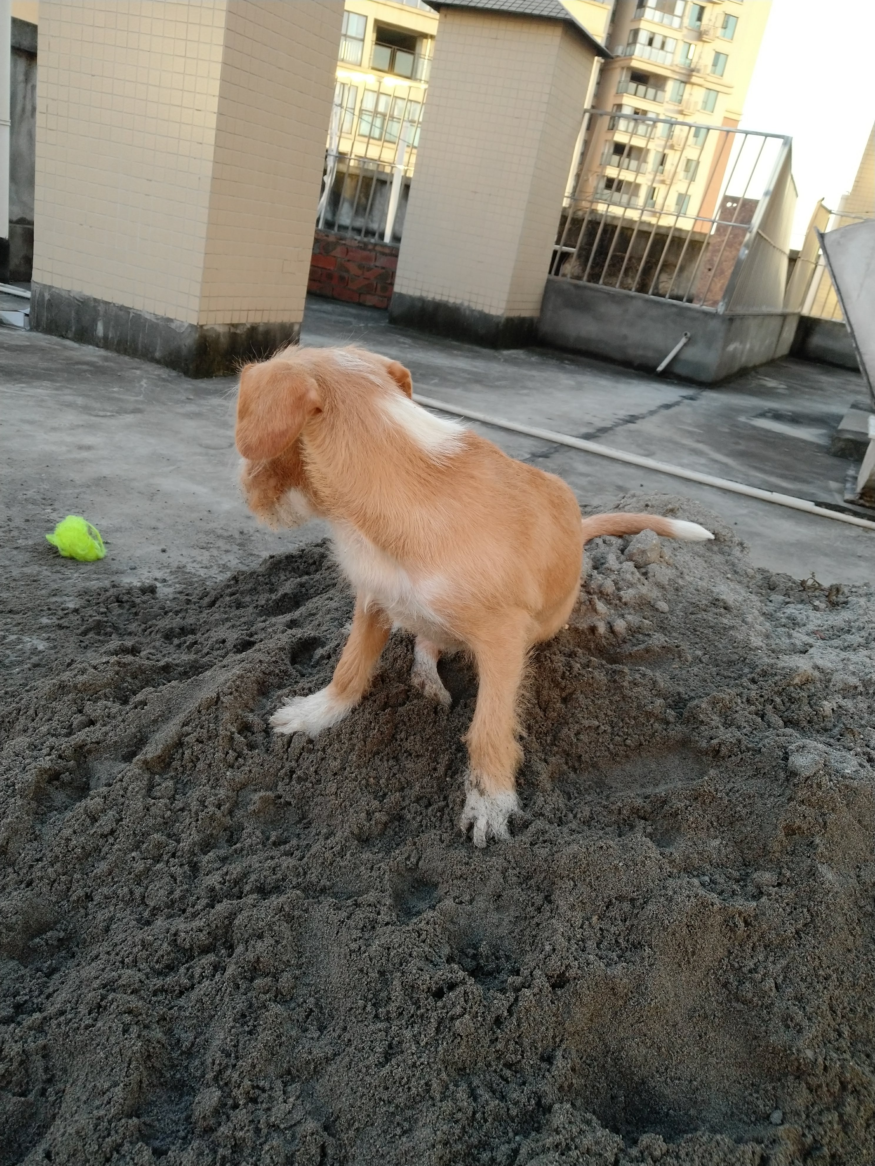 多多 (386).jpg