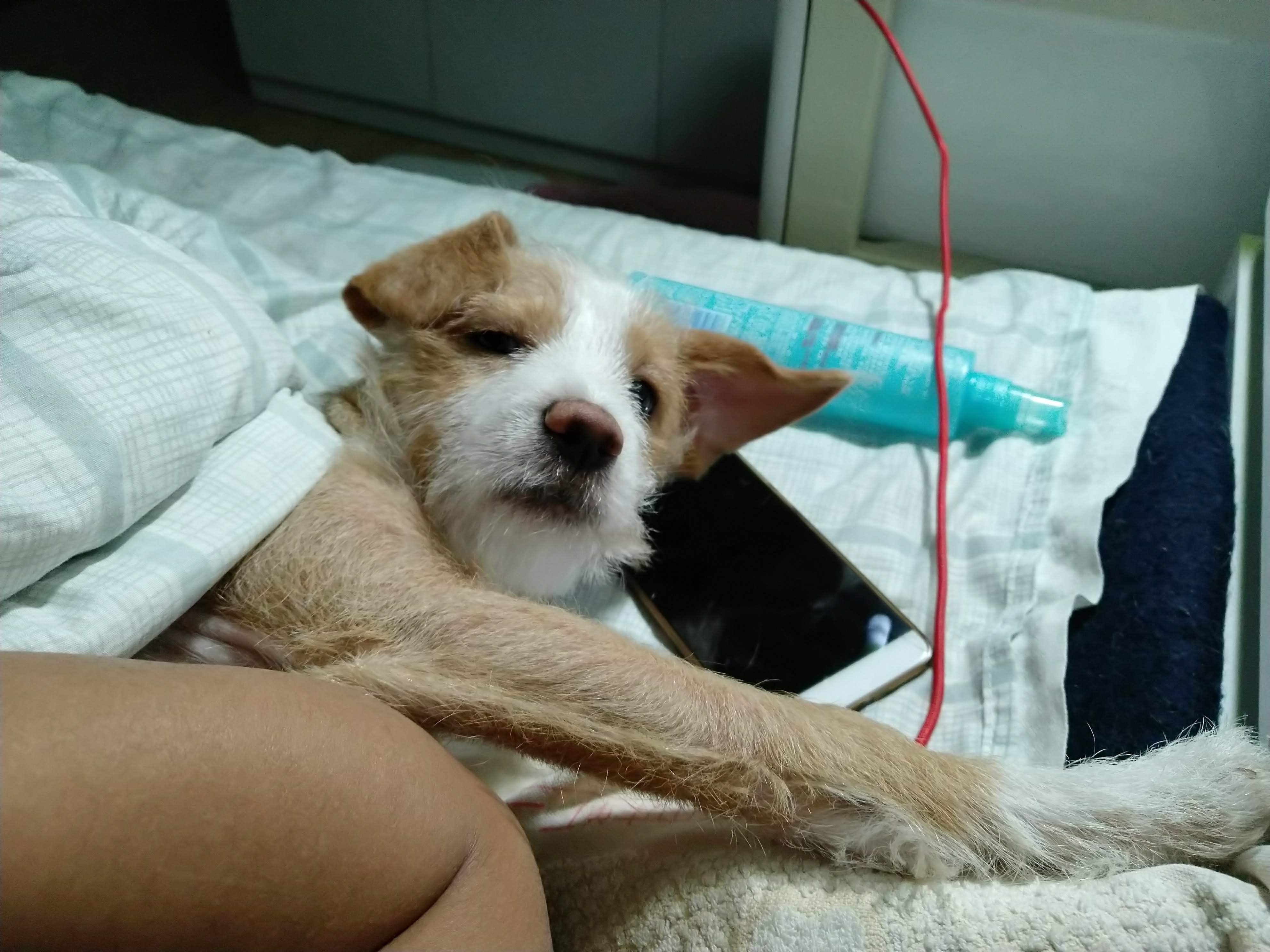 多多 (401).jpg