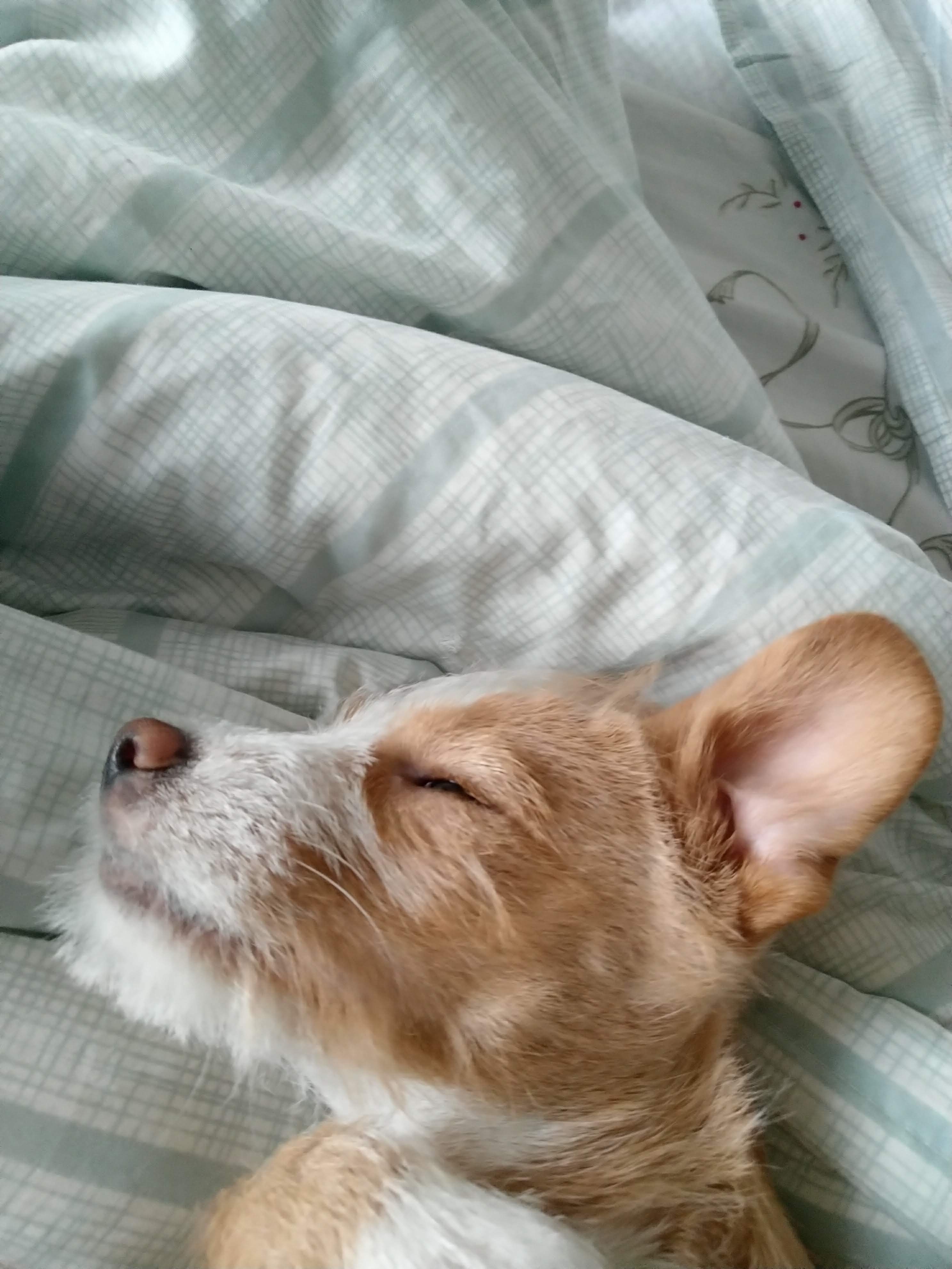 多多 (411).jpg