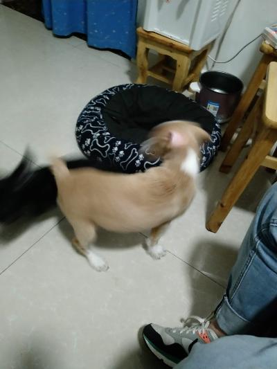 多多 (422).jpg