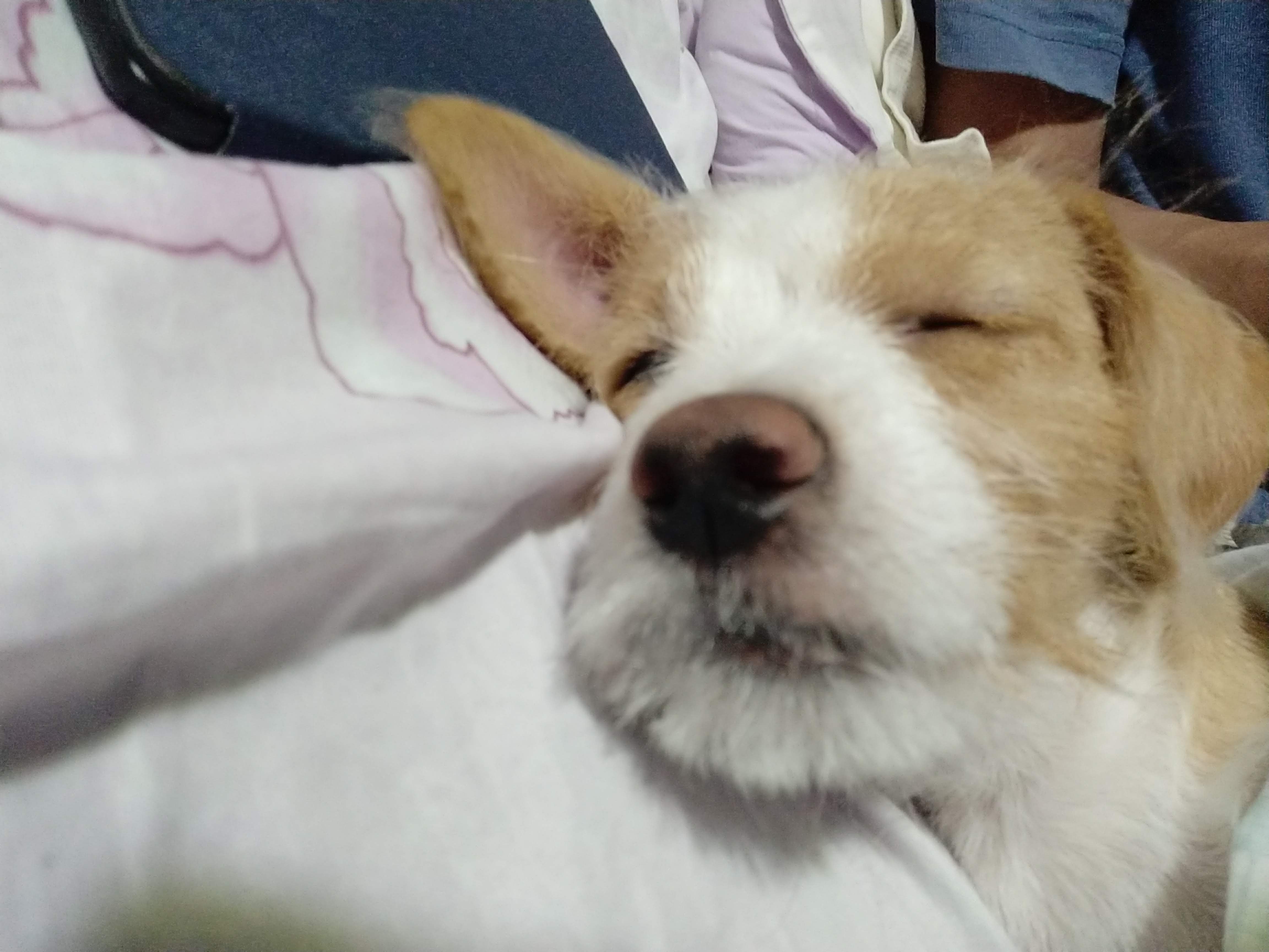 多多 (426).jpg