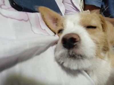 多多 (427).jpg