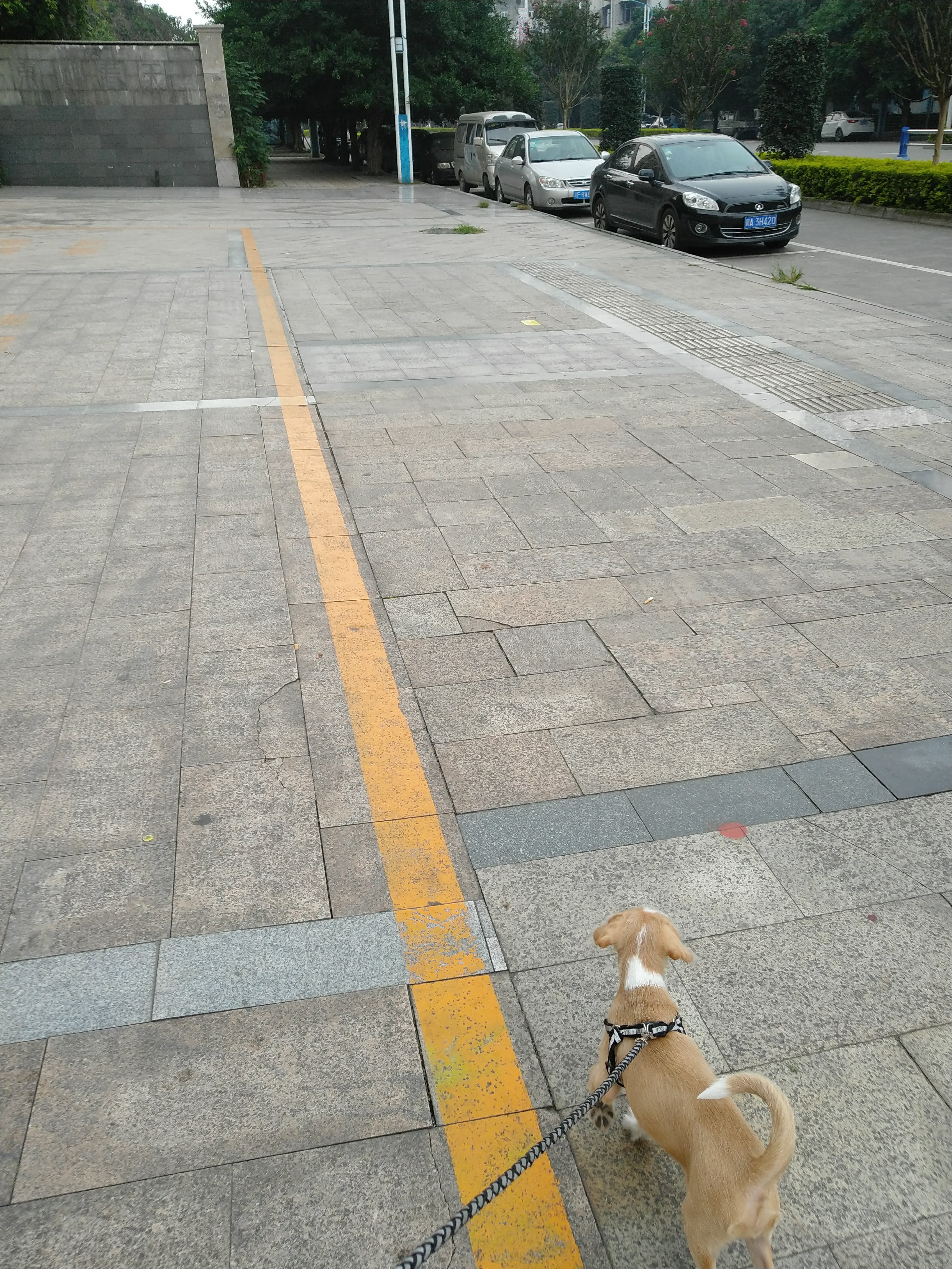 多多 (437).jpg