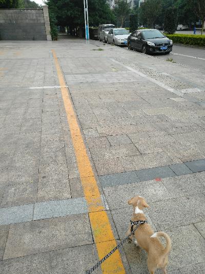 多多 (437).jpg