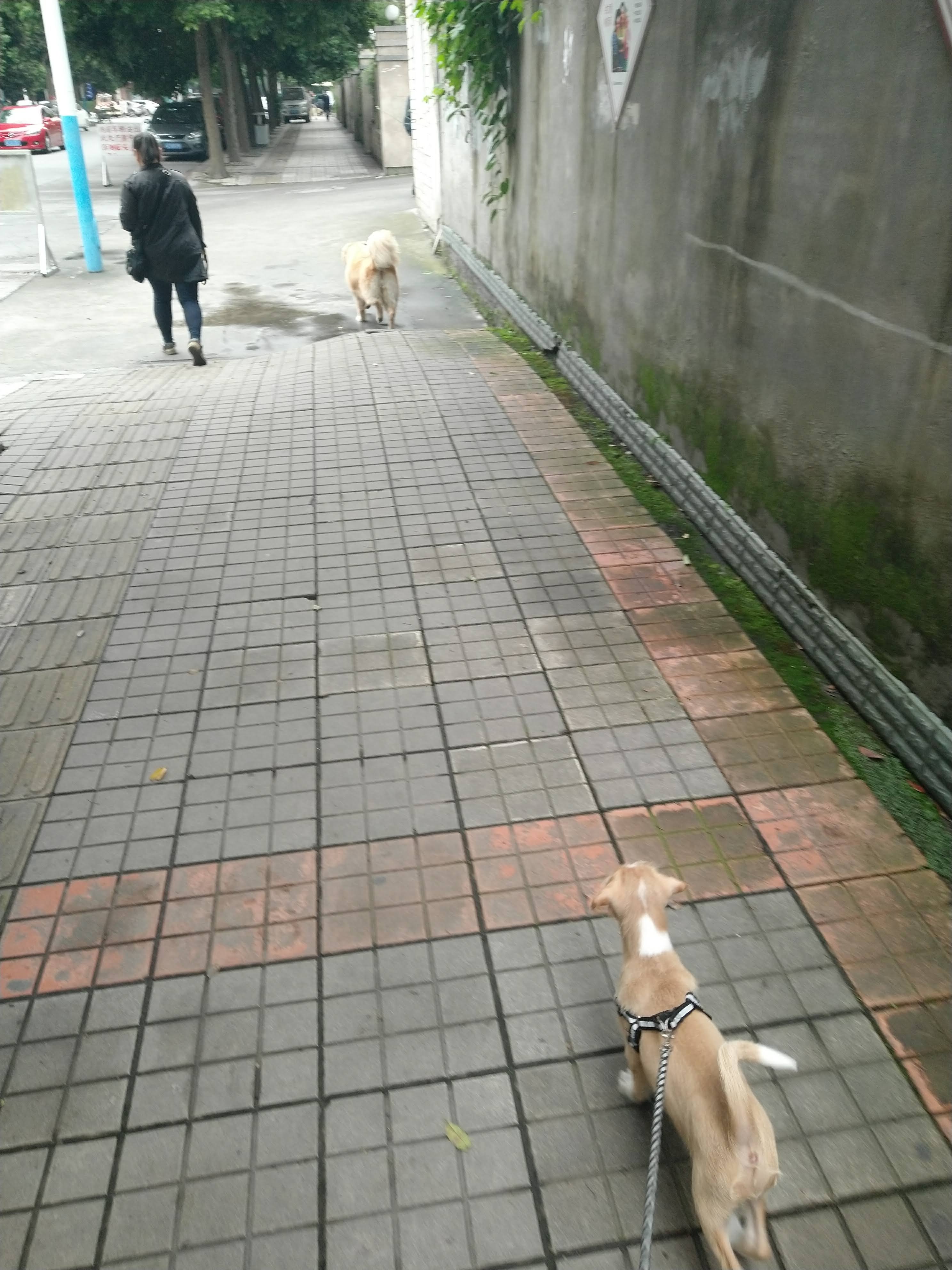 多多 (452).jpg
