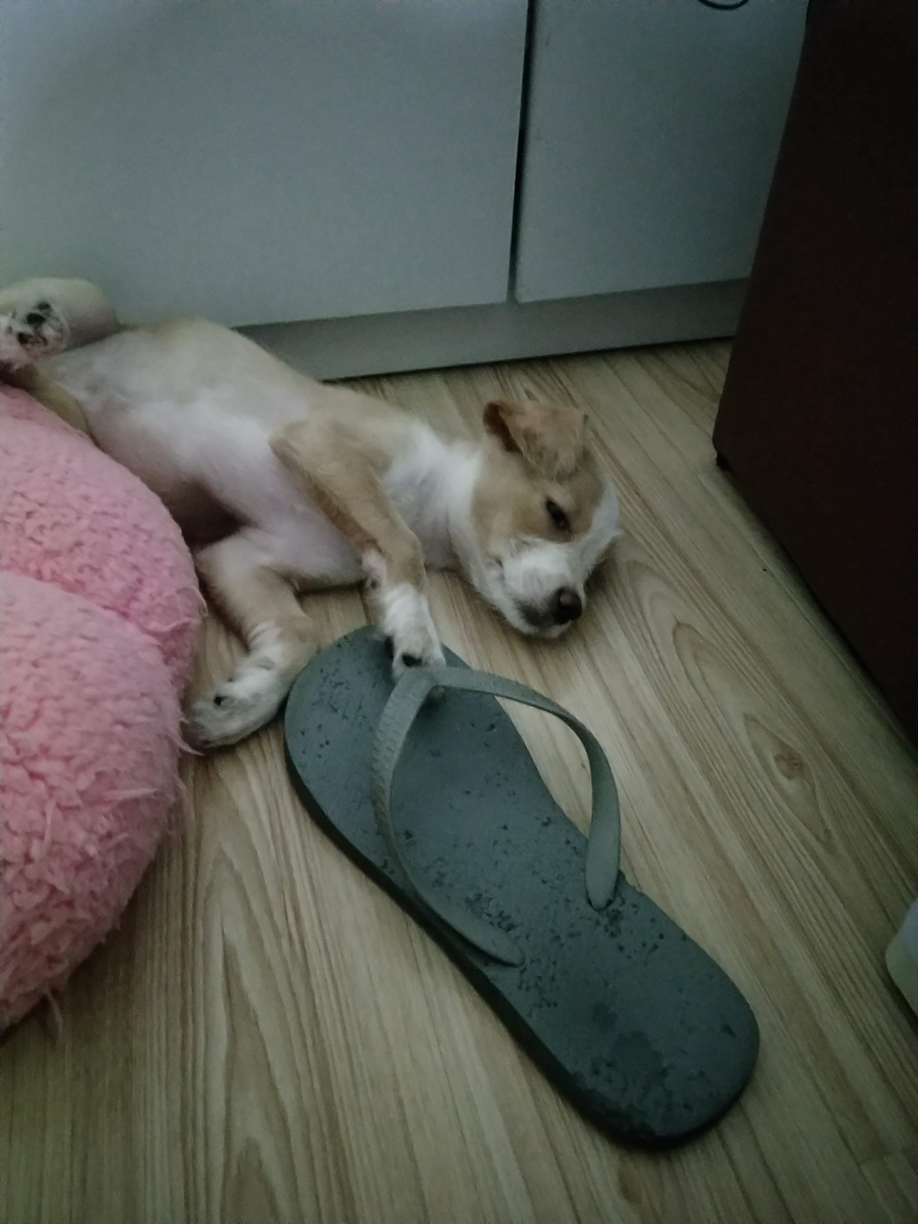多多 (467).jpg